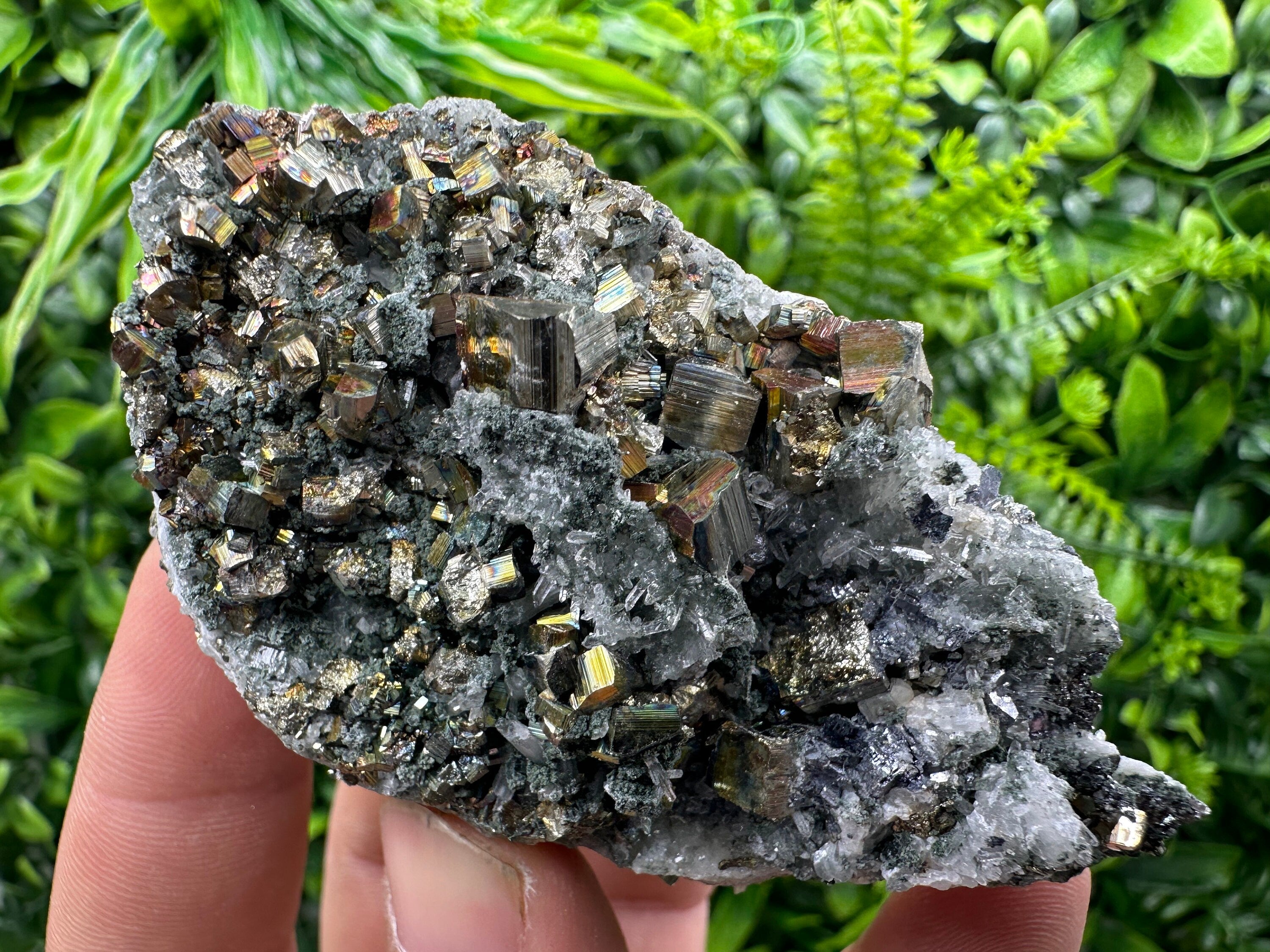 Pyrite on Green Quartz, Borieva Mine Bulgaria, Mineral Specimen