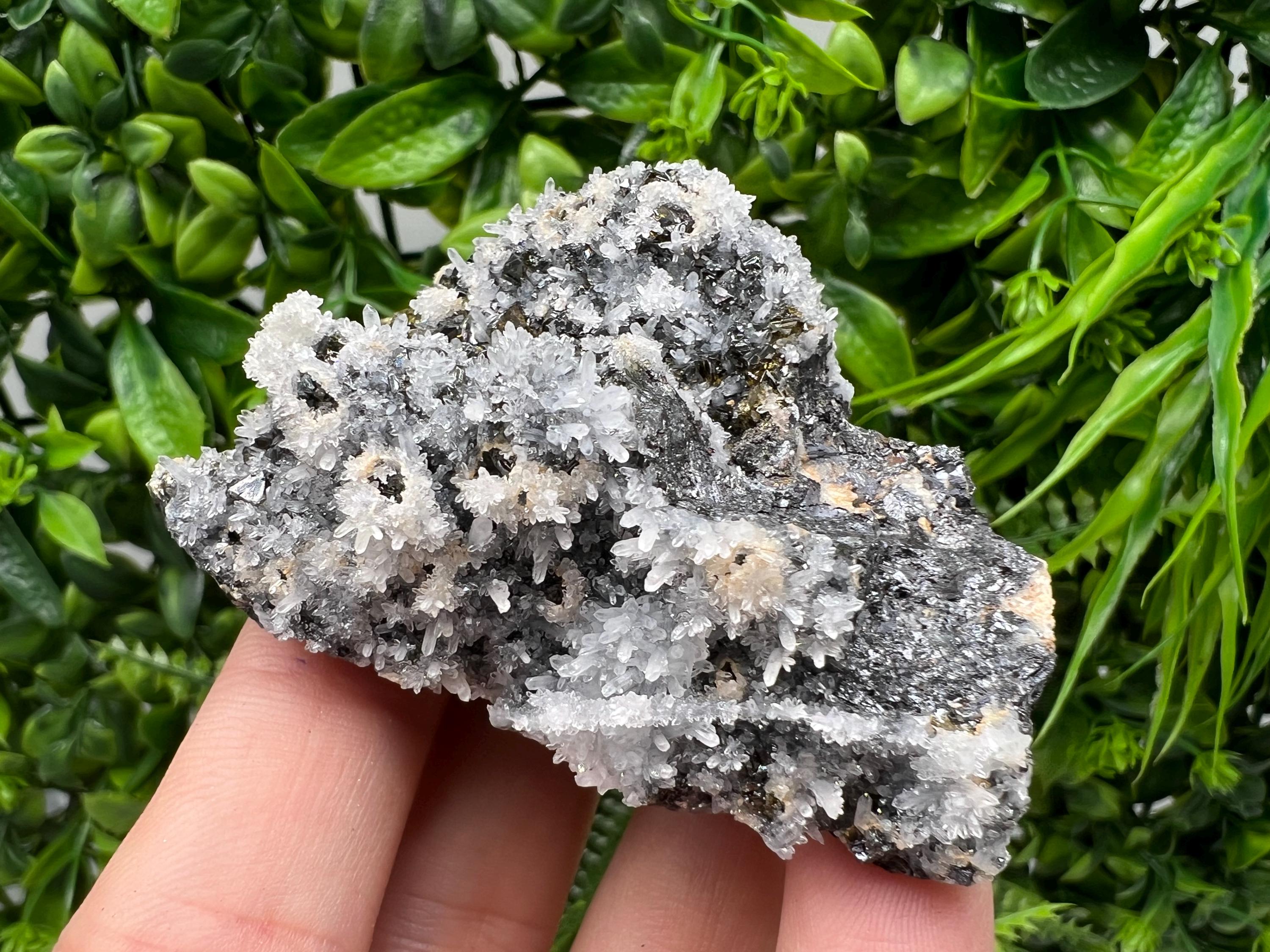 Stunning Gems Sphalerite Cleiopfane on Quartz from Krushev dol mine,Madan,Bulgaria,natural,collectible mineral specimen,home decor stone