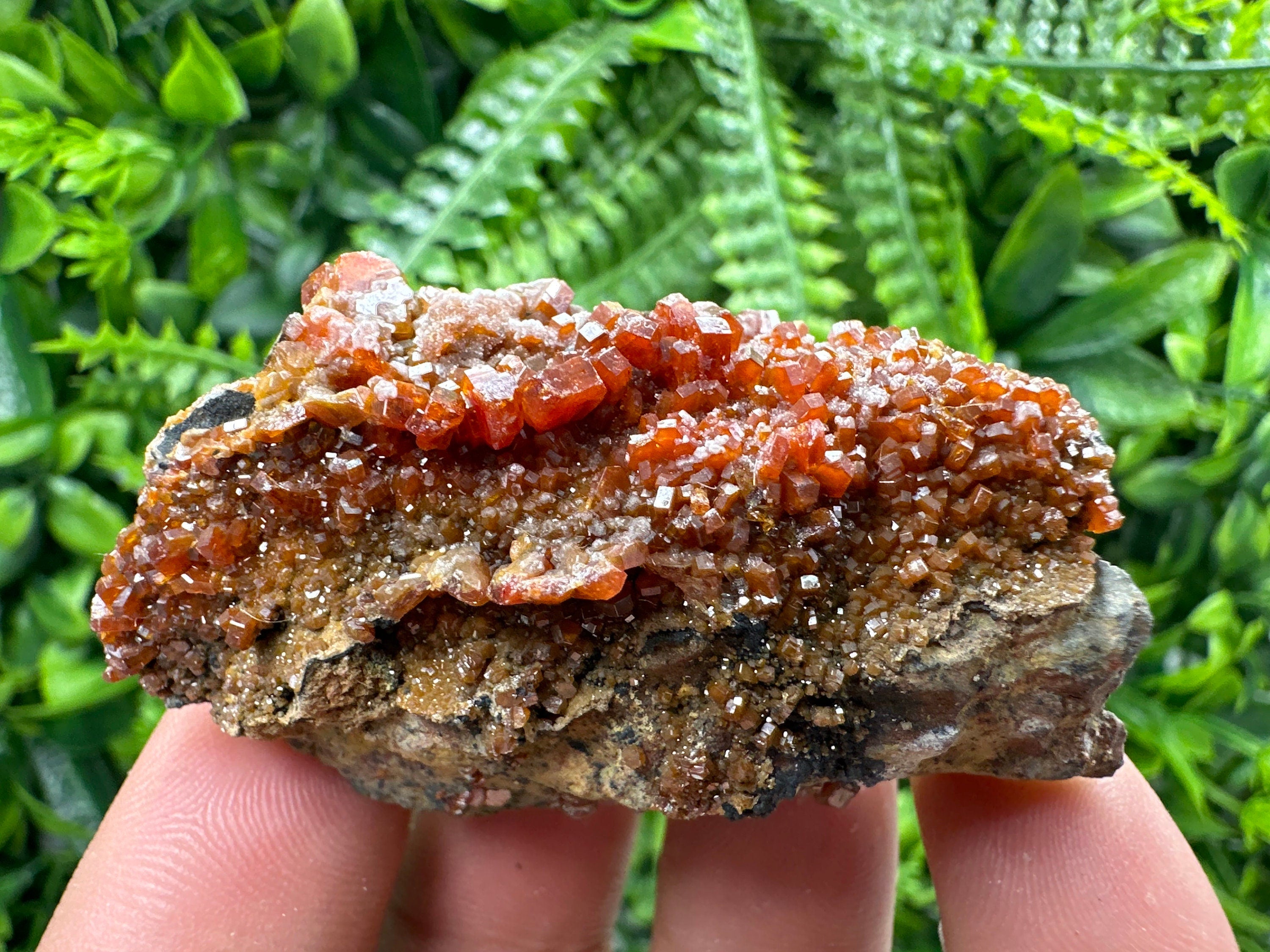 Red Vanadinite Crystal Cluster on Matrix, Morocco Mineral Specimen