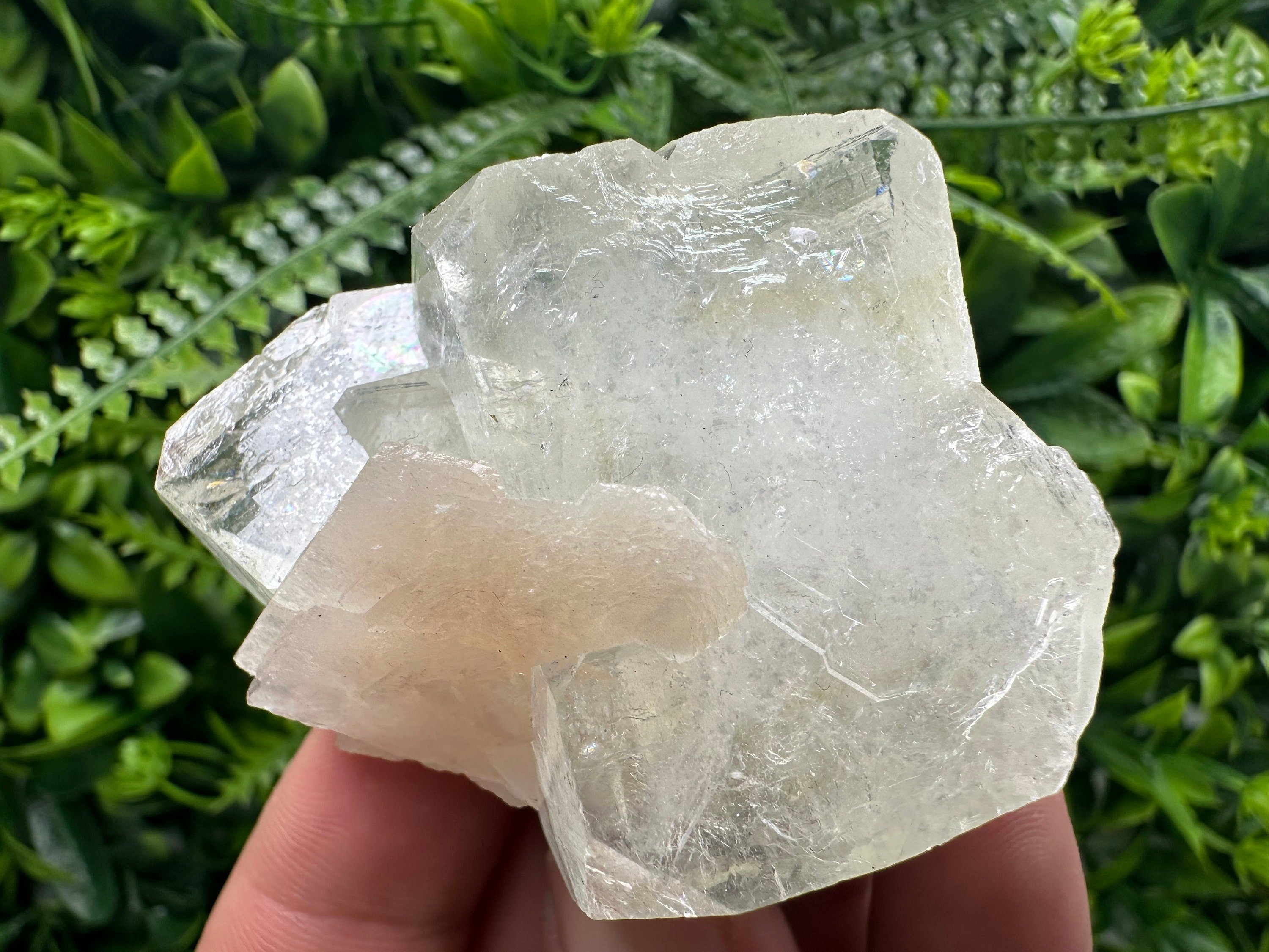 Apophyllite with Stilbite, India Mineral Specimen, Rare Crystal