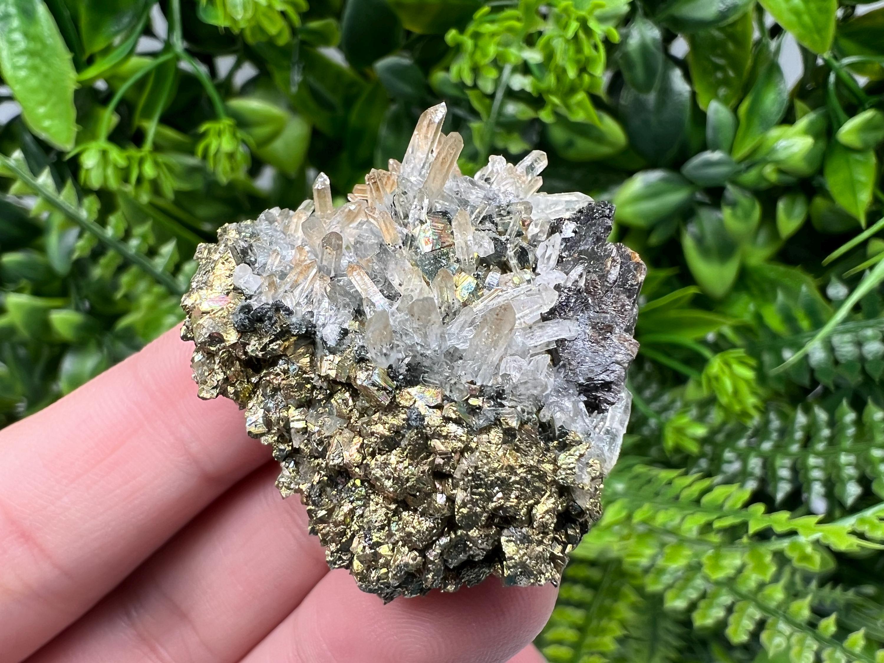 Rainbow Pyrite with Sphalerite on Quartz: Natural Crystal Decor