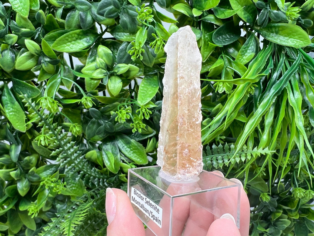 Golden Phantom Selenite Slab: Utah Raw Crystal Wand