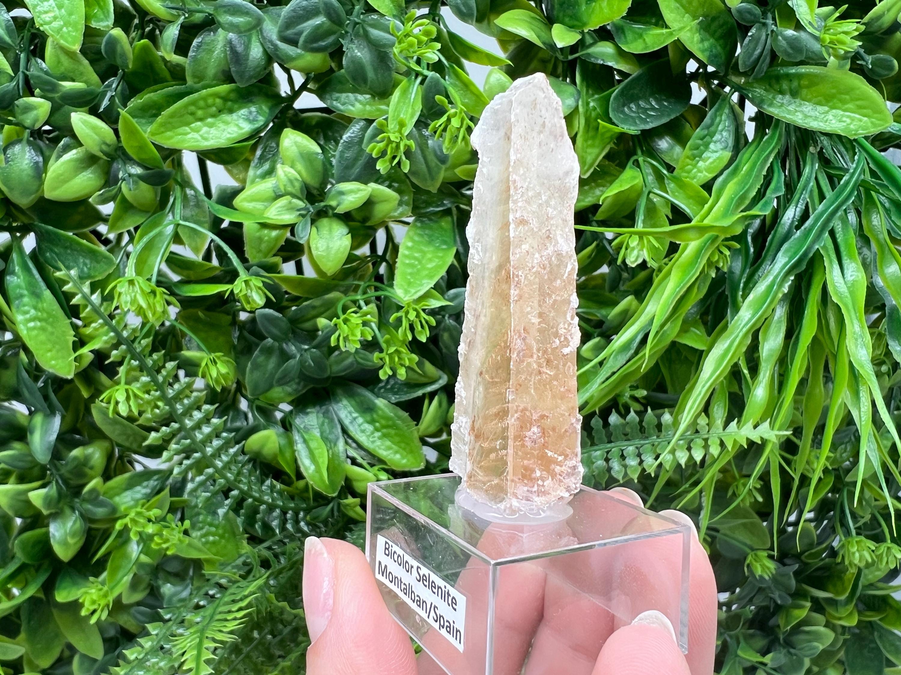 Golden Phantom Selenite Slab: Utah Raw Crystal Wand