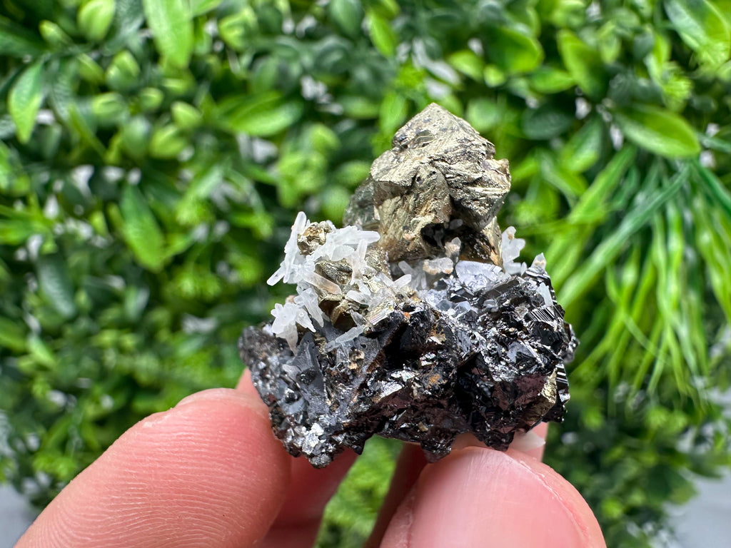 Wonderful Chalcopyrite on Sphalerite from 9 th September mine,Madan,Bulgaria,natural,collection mineral specimen,Home decor stone,Rare cryst