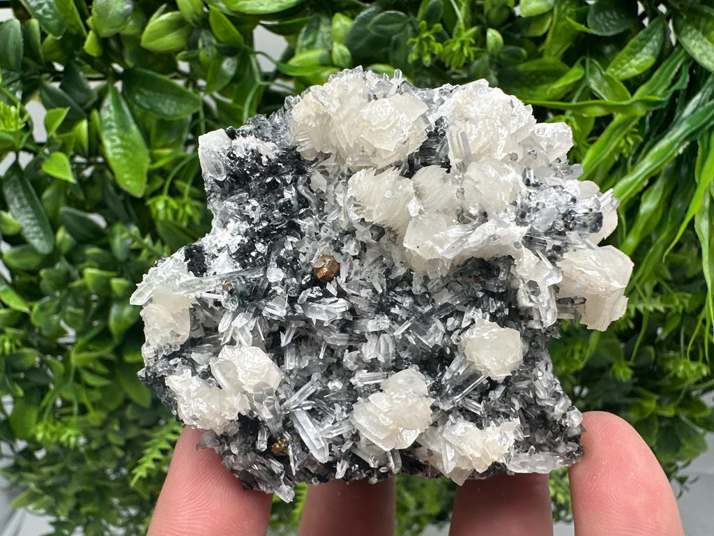 UV Fluorescence Calcite on Sphalerite Quartz, Borieva Bulgaria Mineral Specimen