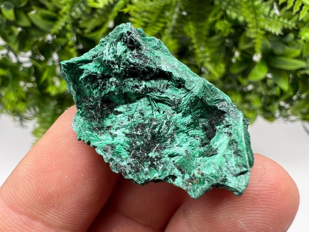 Malachite Crystal from Congo,Minerals,Crystals from Congo,Green Malachite, Malachite,Natural Malachite,Malachite Stone,Chakra, Specimens