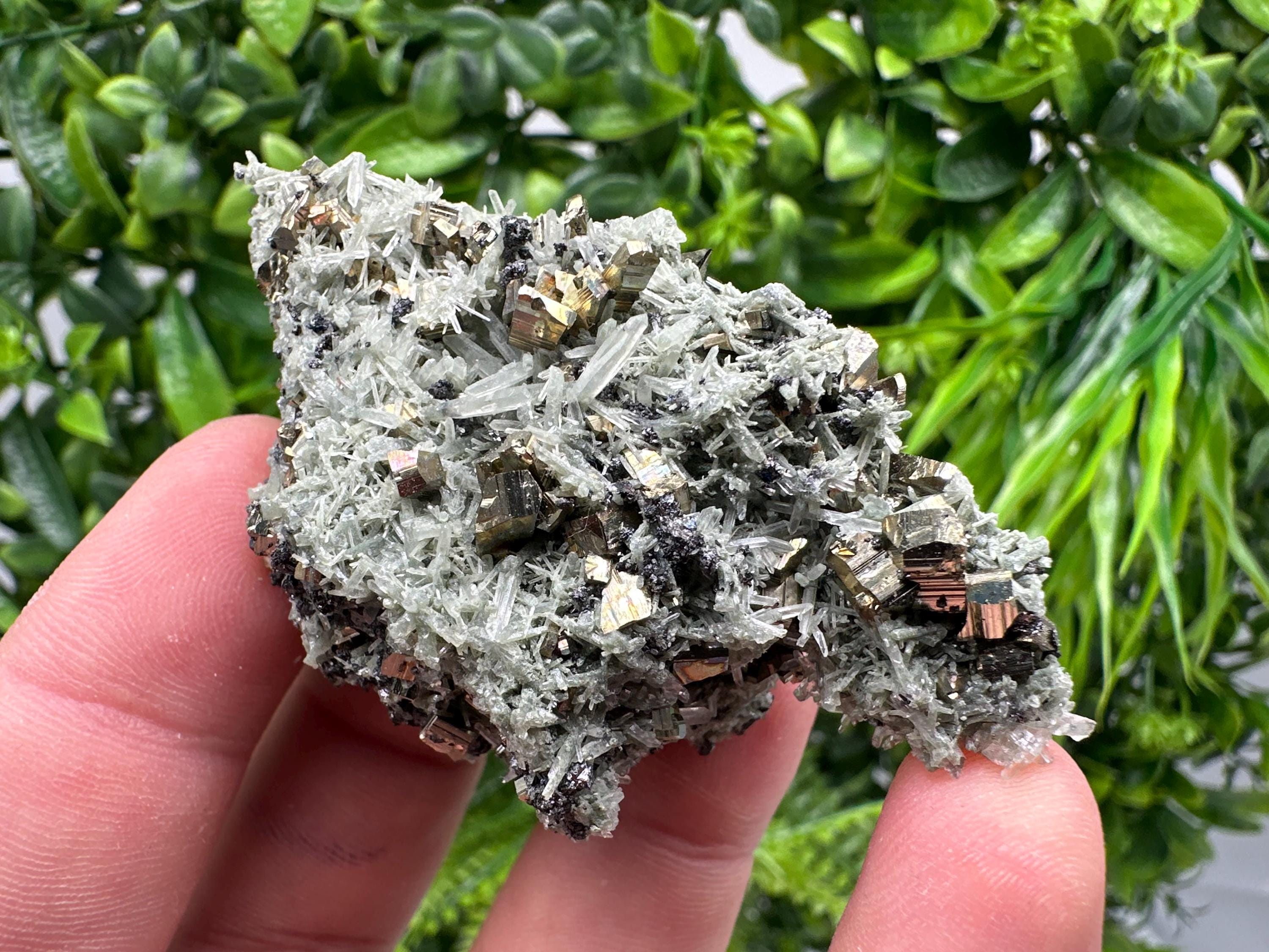 Pyrite on Green Quartz Mineral Specimen, Borieva Mine, Bulgaria