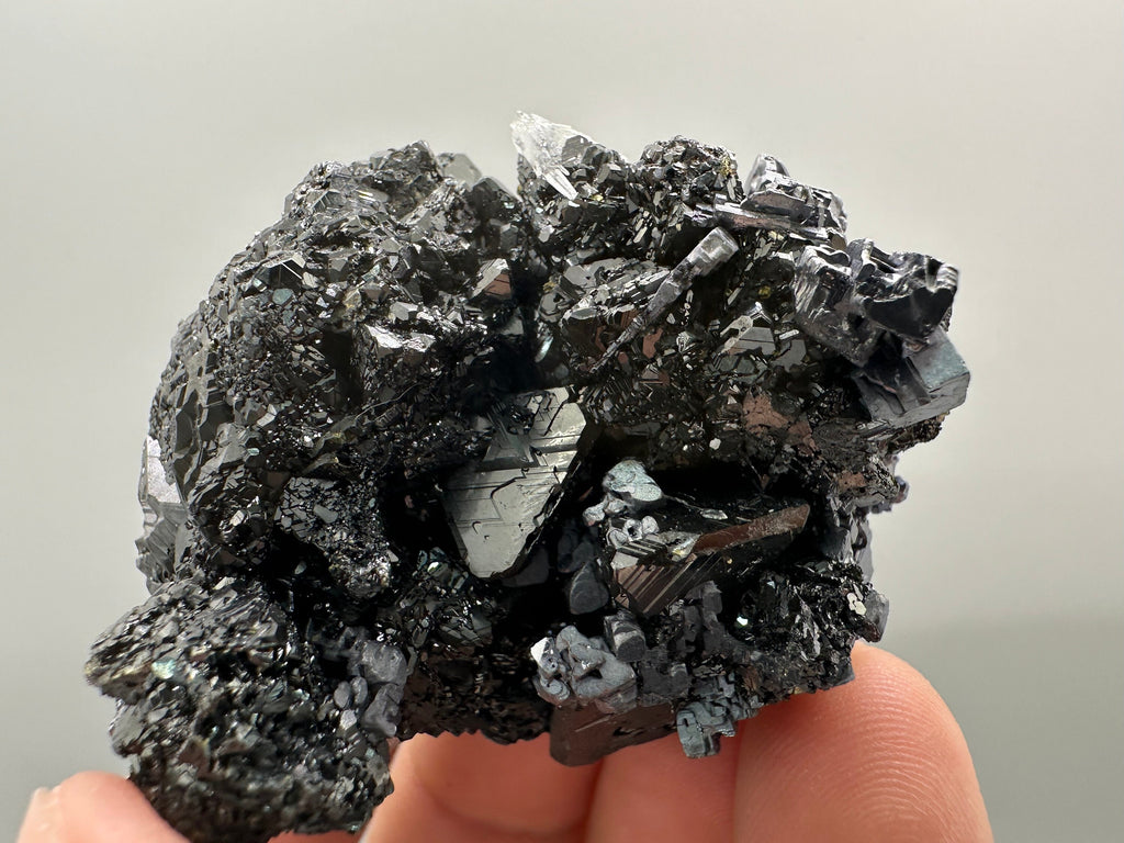 Galena on Sphalerite Mineral Specimen: Borieva Mine, Bulgaria
