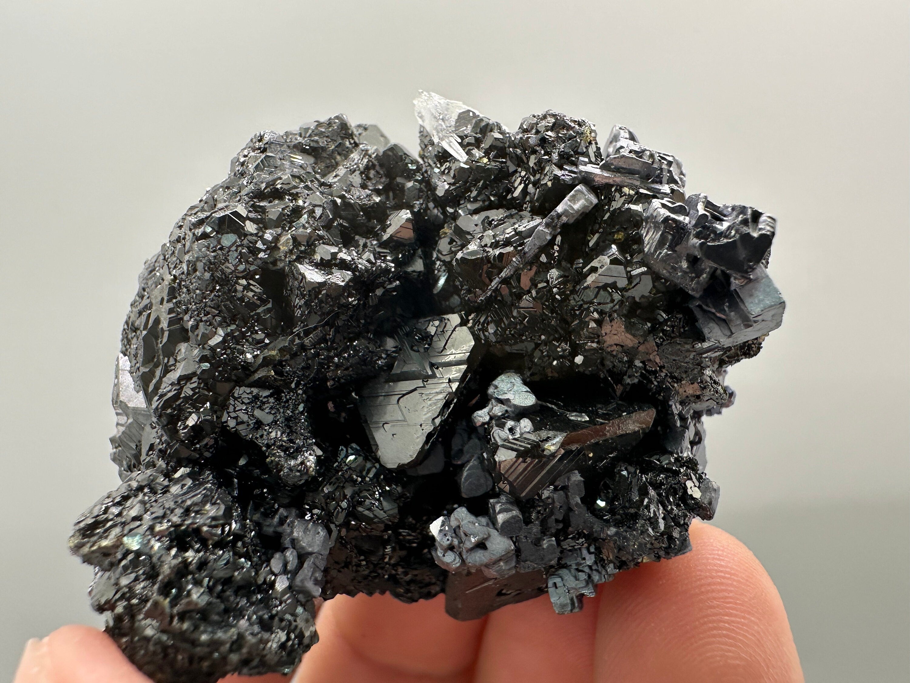 Galena on Sphalerite Mineral Specimen: Borieva Mine, Bulgaria