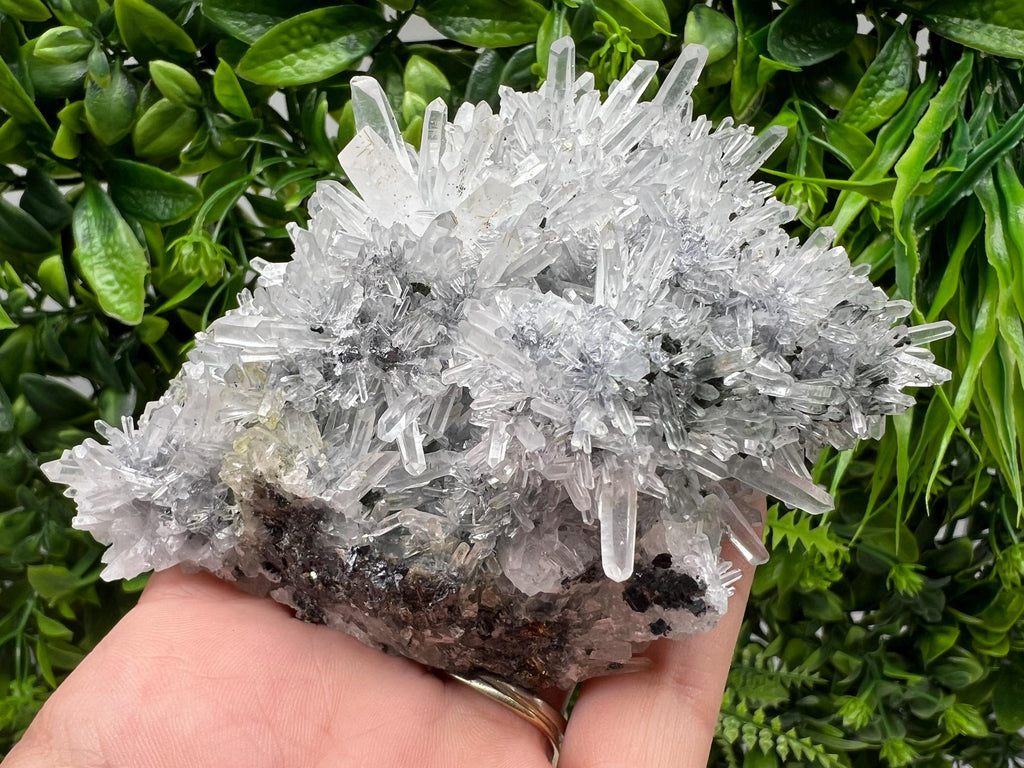 Stunning Transparent Quartz,from Borieva mine,natural collection mineral specimen rare crystal,home decor crystal,quartz cluster,Quartz,gift