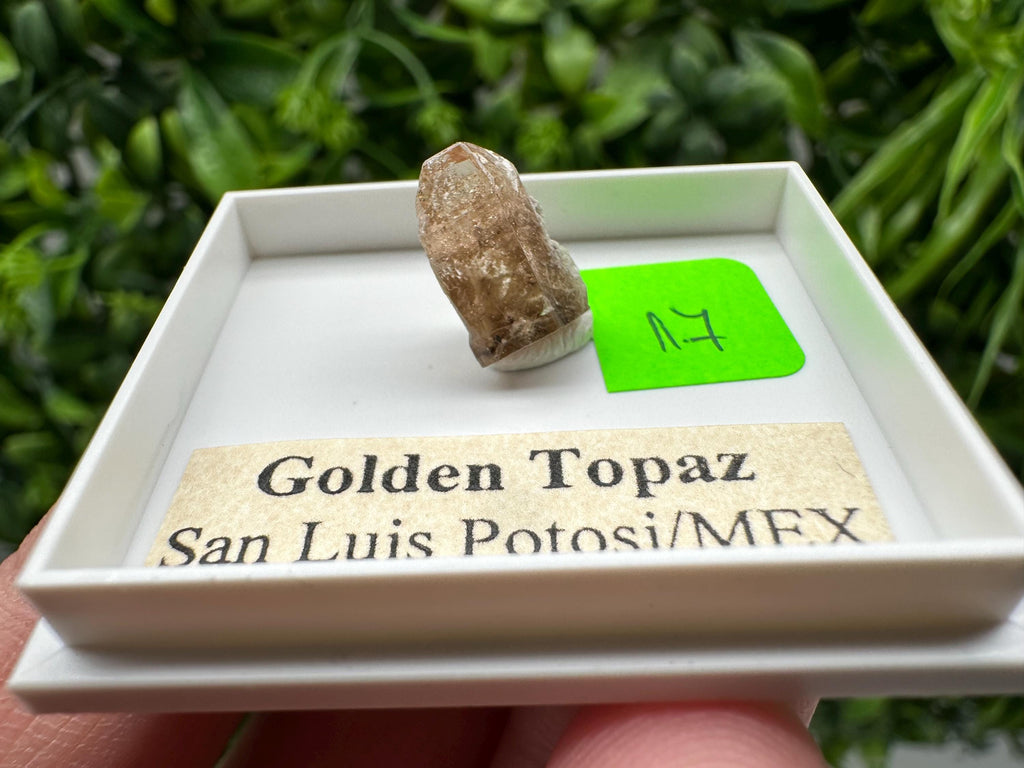 Golden Topaz Crystal, Mineral Specimen from Mexico
