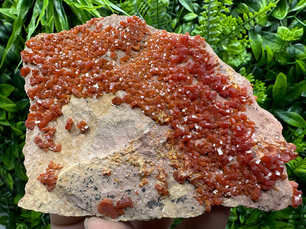 Red Vanadinite Crystal Cluster on Matrix, Morocco Mineral Specimen