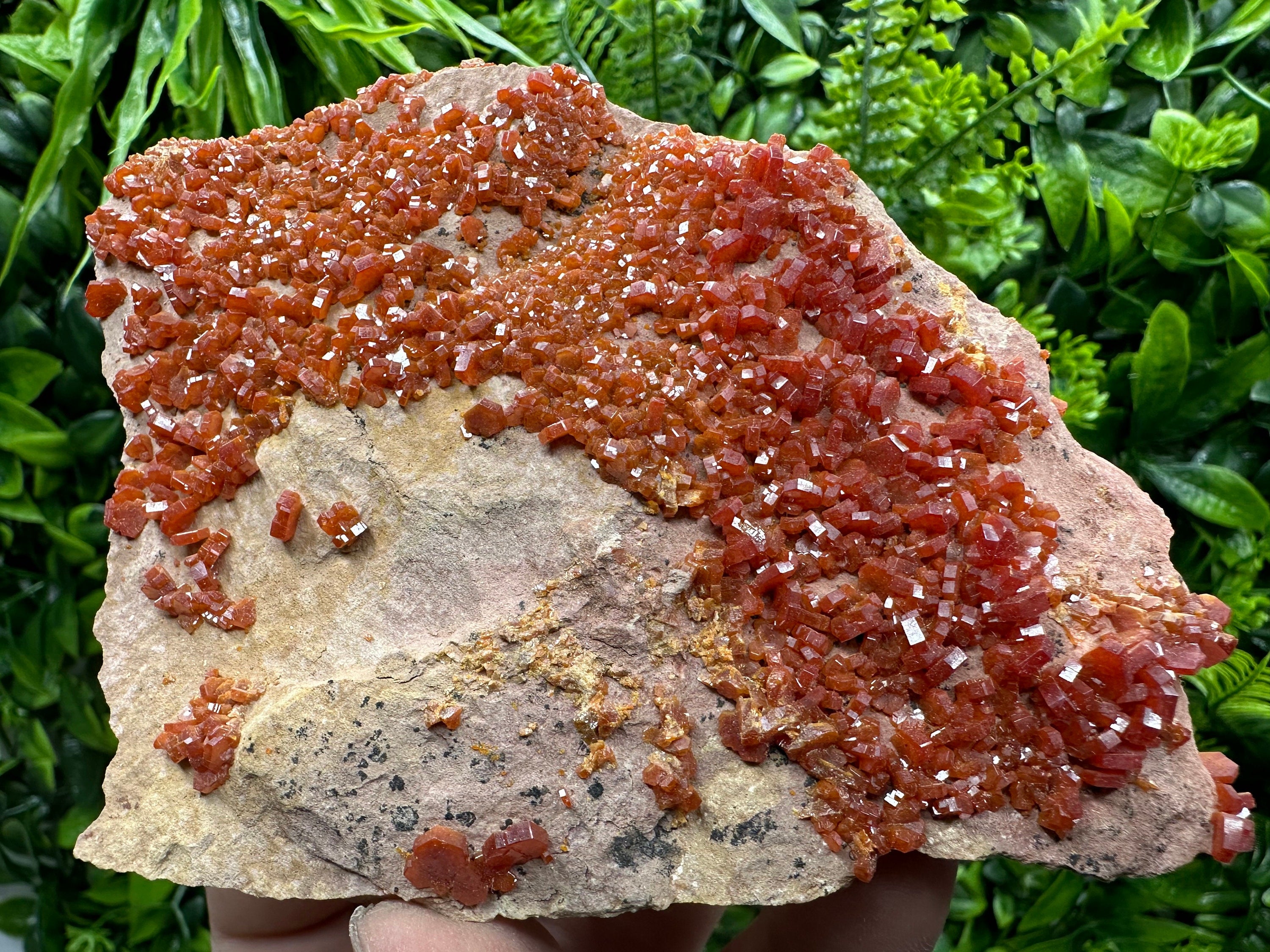 Red Vanadinite Crystal Cluster on Matrix, Morocco Mineral Specimen