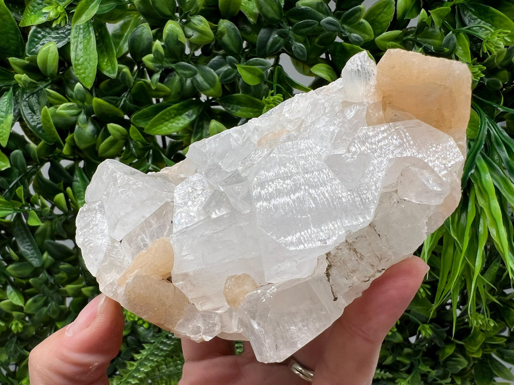 STUNNING Apophyllite,Stilbite,on CHALCEDONY,natural,collection minerals specimen,India ,Mineral,Crystal,Stone Mineral Specimen India Crystal