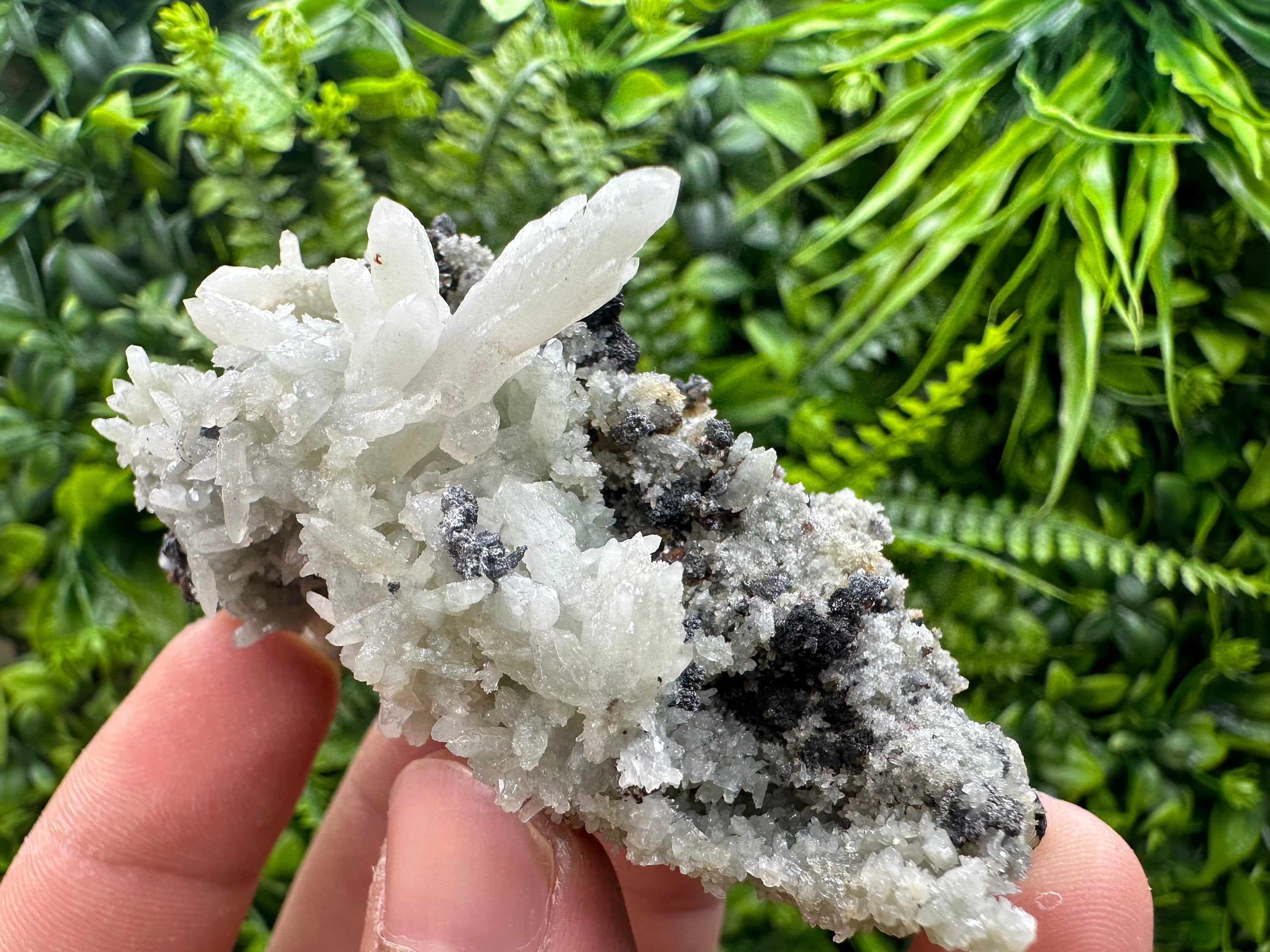 Chalcopyrite on Green Quartz: Madan Bulgaria Crystal Decor