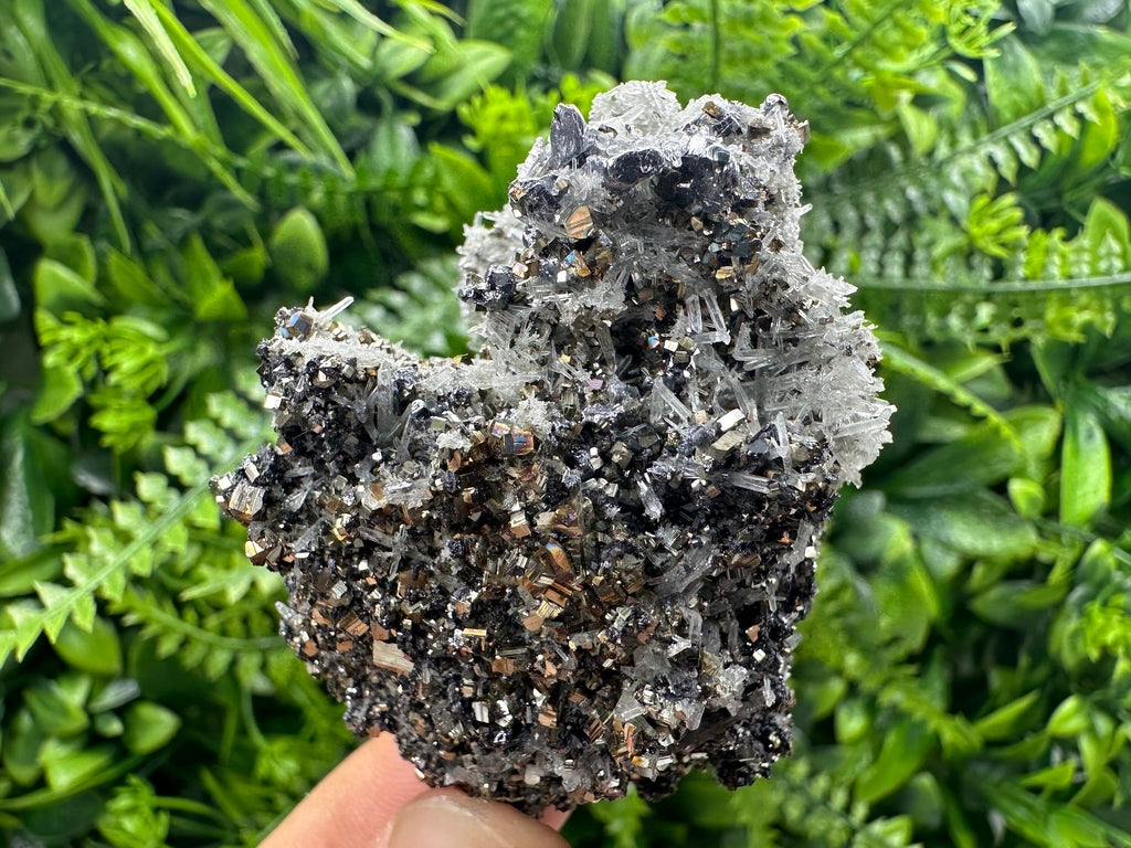 Galena Pyrite Sphalerite with Quartz, Borieva Mine Mineral Specimen