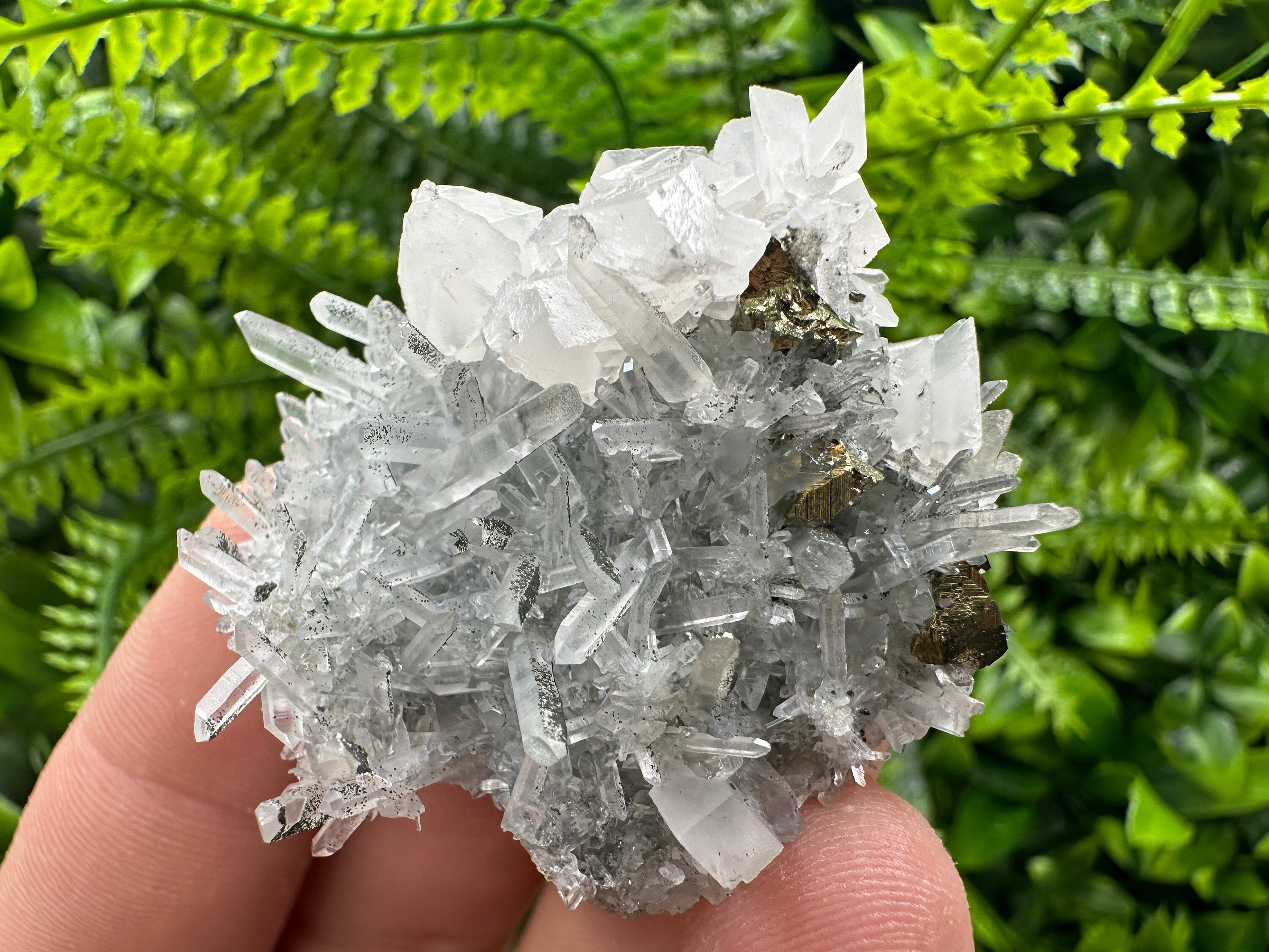Chalcopyrite & Calcite on Quartz: Borieva Mine, Bulgaria