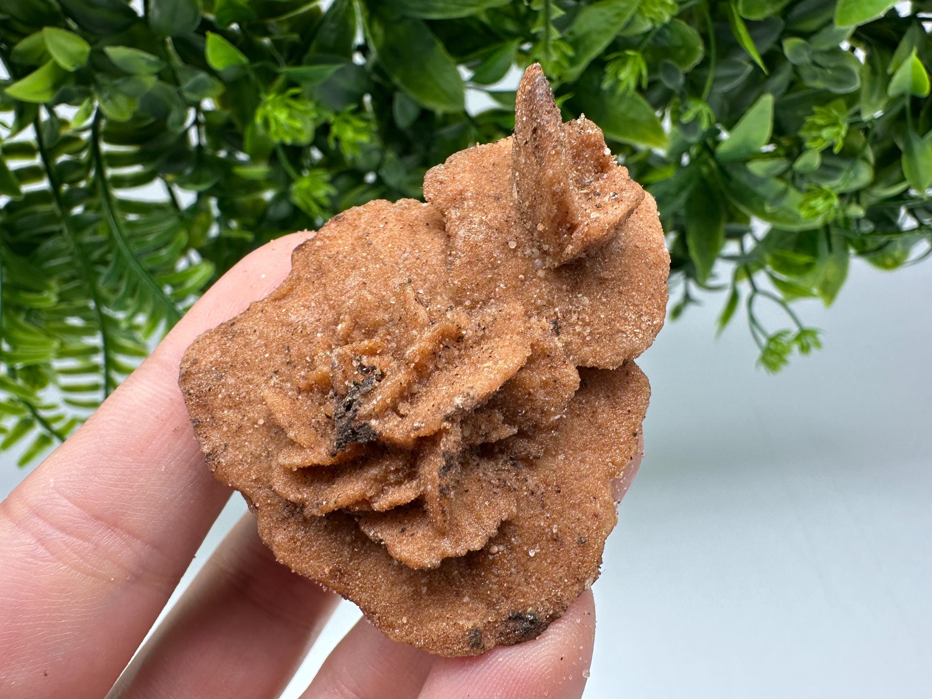 Desert Rose Crystal: Root Chakra Healing Selenite Stone