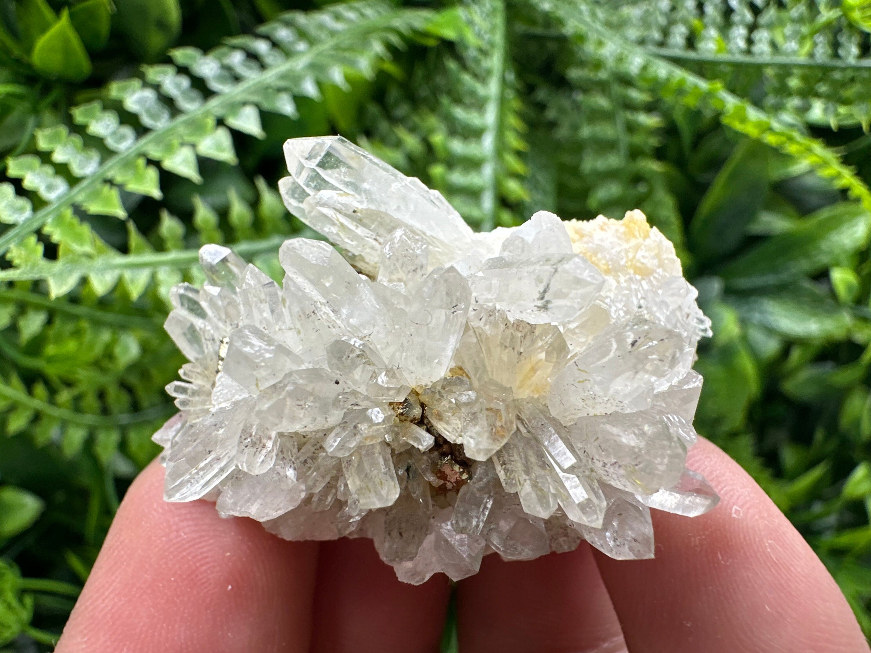 Quartz with Pyrite, Djurcovo Mine Bulgaria, Mineral Souvenir