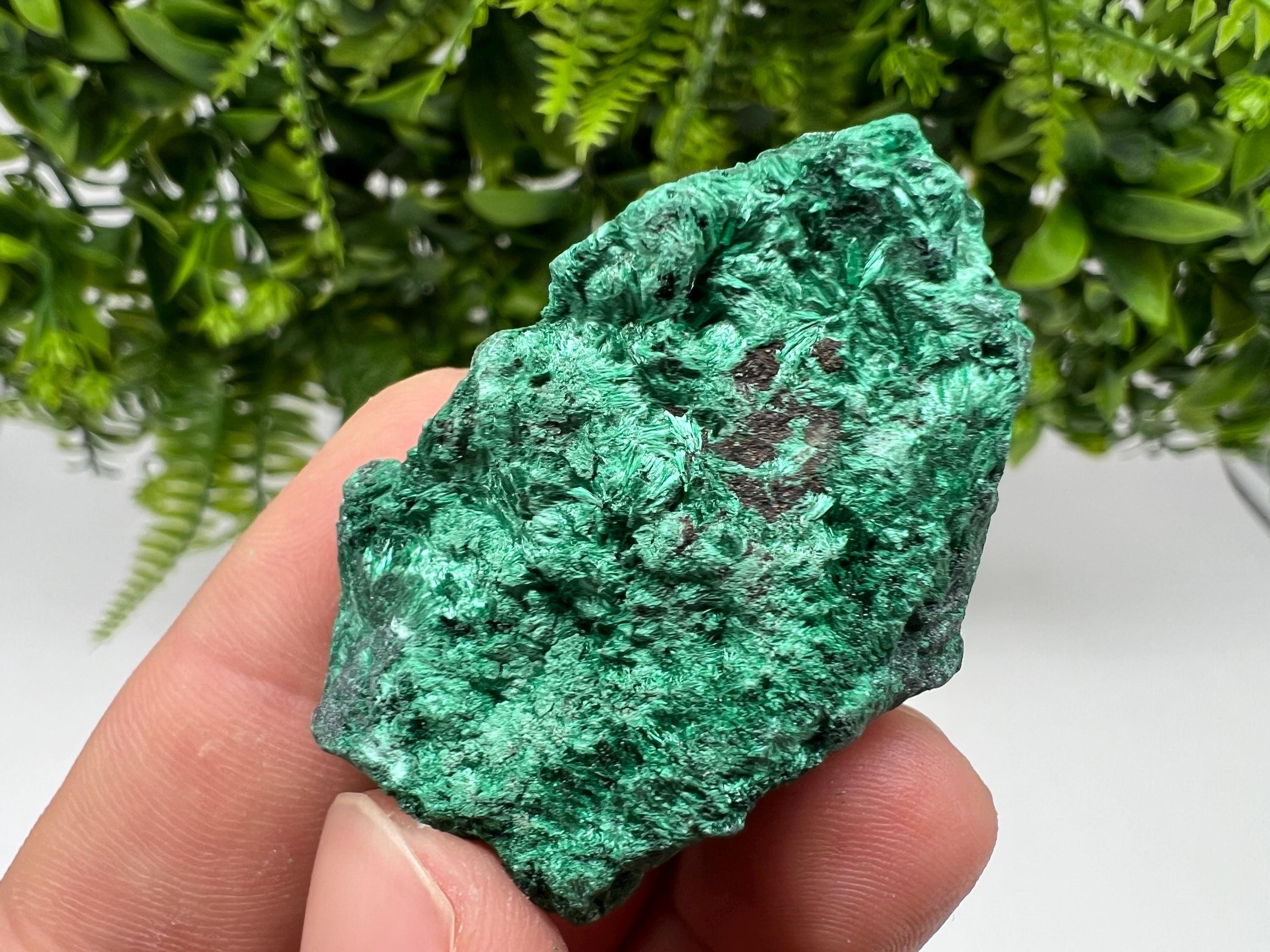 Malachite Crystal from Congo,Minerals,Crystals from Congo,Green Malachite, Malachite,Natural Malachite,Malachite Stone,Chakra, Specimens