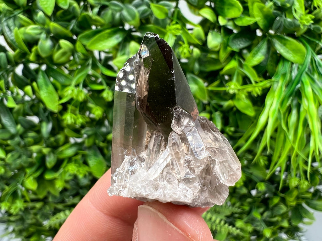 Rare Smoky Quartz Crystal Specimen: Mineral Collection, Brazil