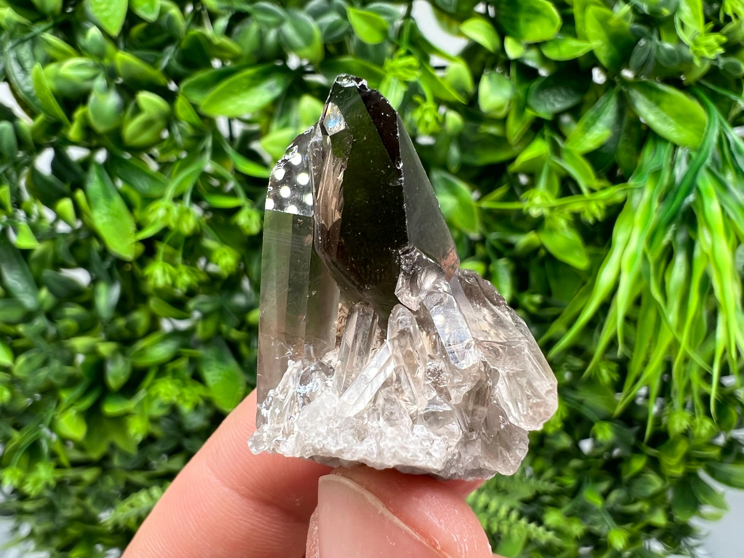Rare Smoky Quartz Crystal Specimen: Mineral Collection, Brazil