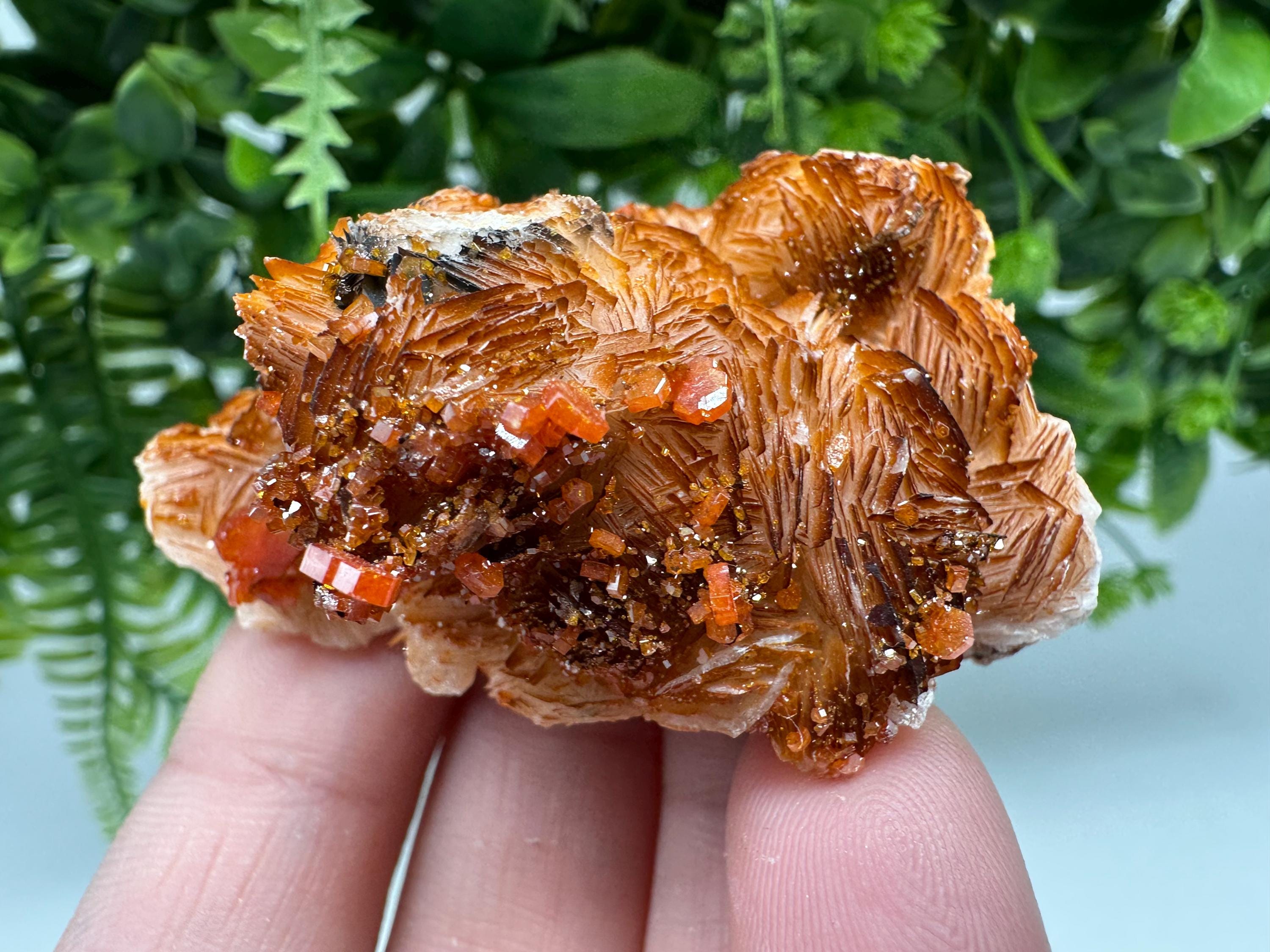 Red Vanadinite Crystal Cluster on Barite Matrix from Morocco, Geology Specimen