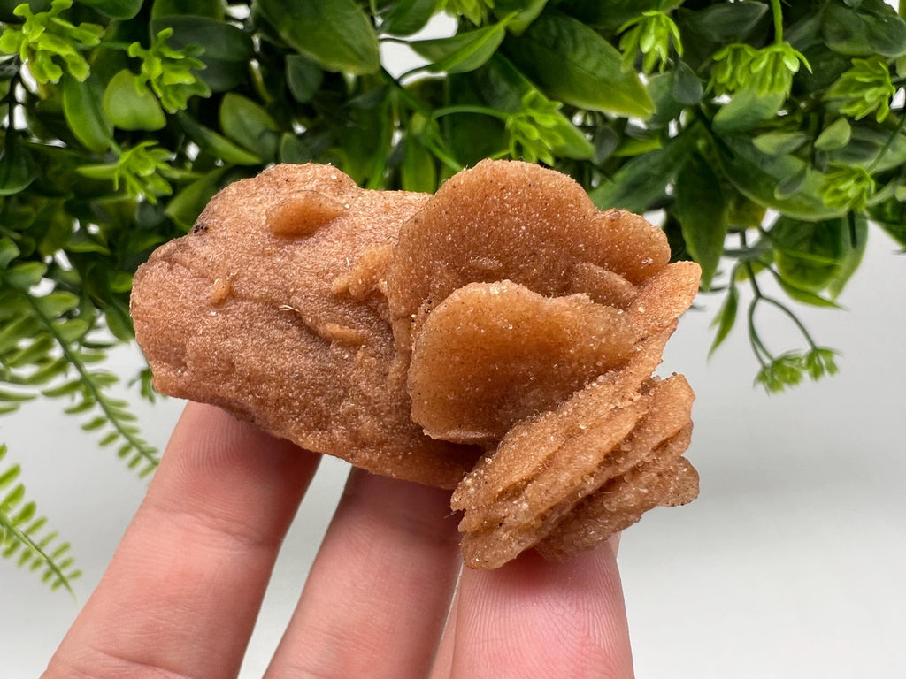 Desert Rose Crystal: Root Chakra Healing Selenite Stone