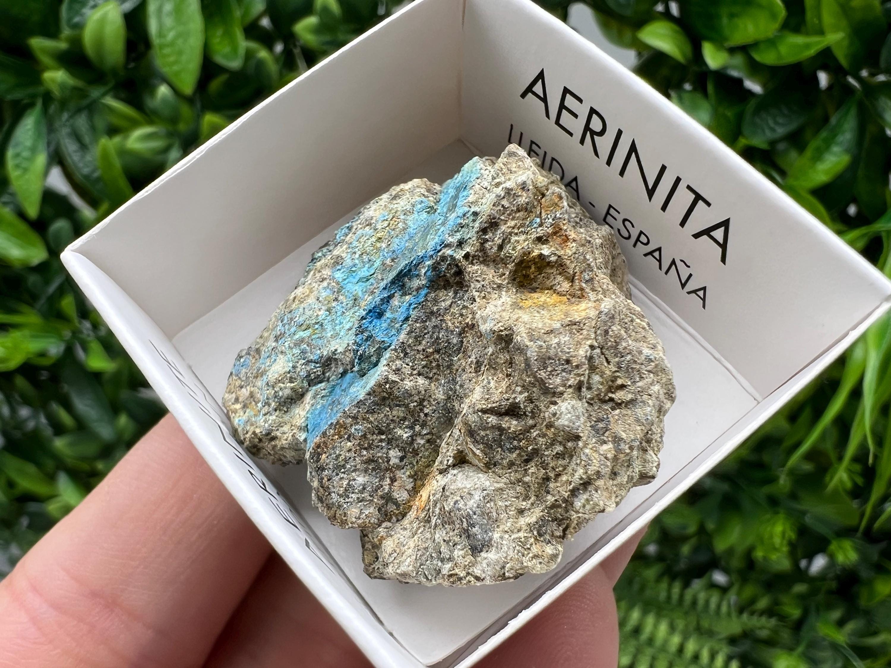 Rare Raw Aerinite Mineral Specimen: Collection Crystal from Lleida, Spain (3.5/3.5 CM)