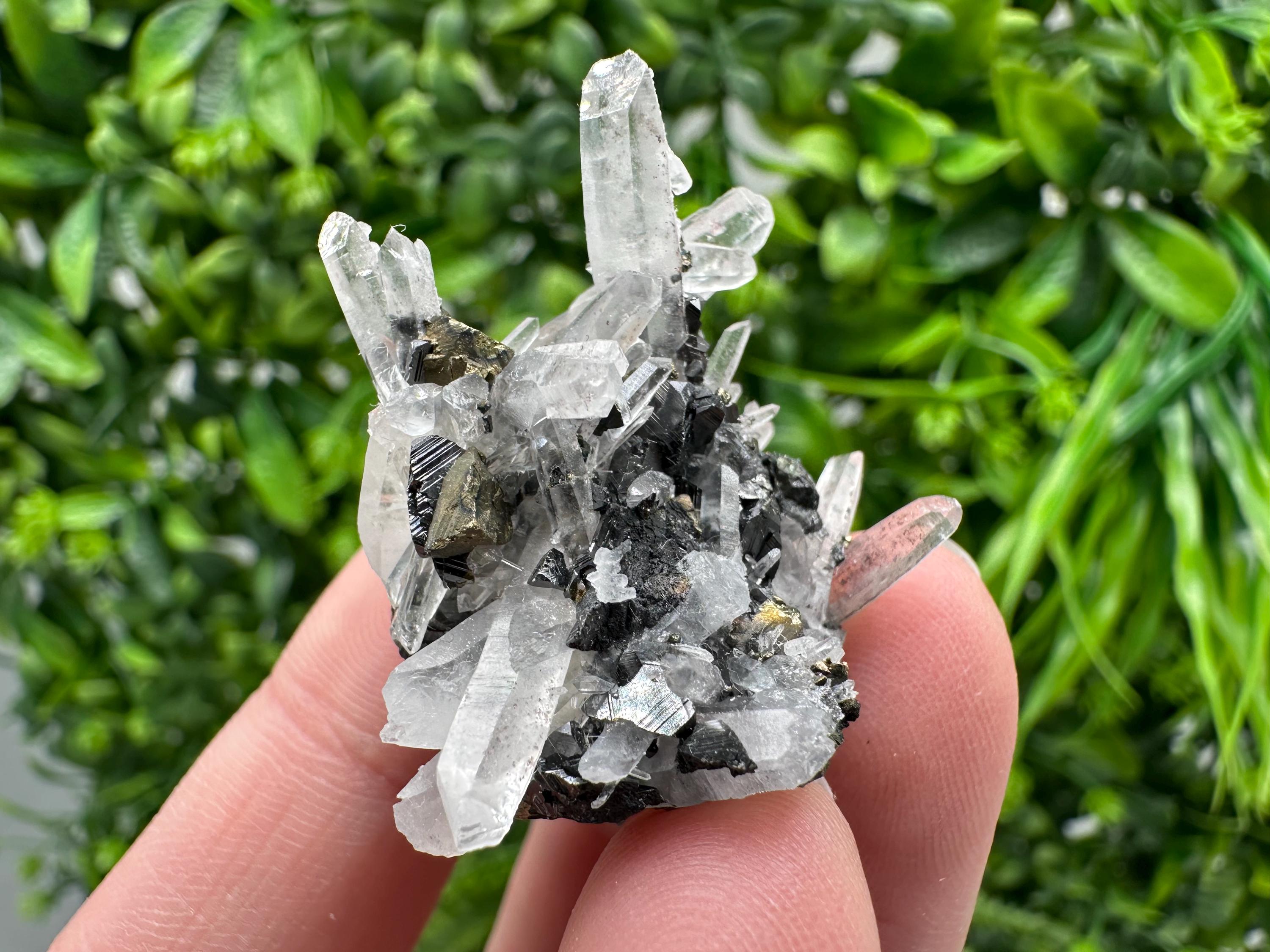 Wonderful Sphalerite Chalcopyrite on  Quartz whit Galena feom 9 th September mine,Bulgaria,natural,collection mineral specimen,gift