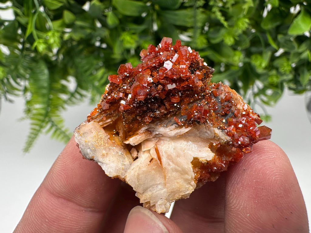 Red Vanadinite on Barite from Marocco,crystal minerals Speciment cluster Vanadinite crystal Vanadinite Geology Vanadinite cluster minerals