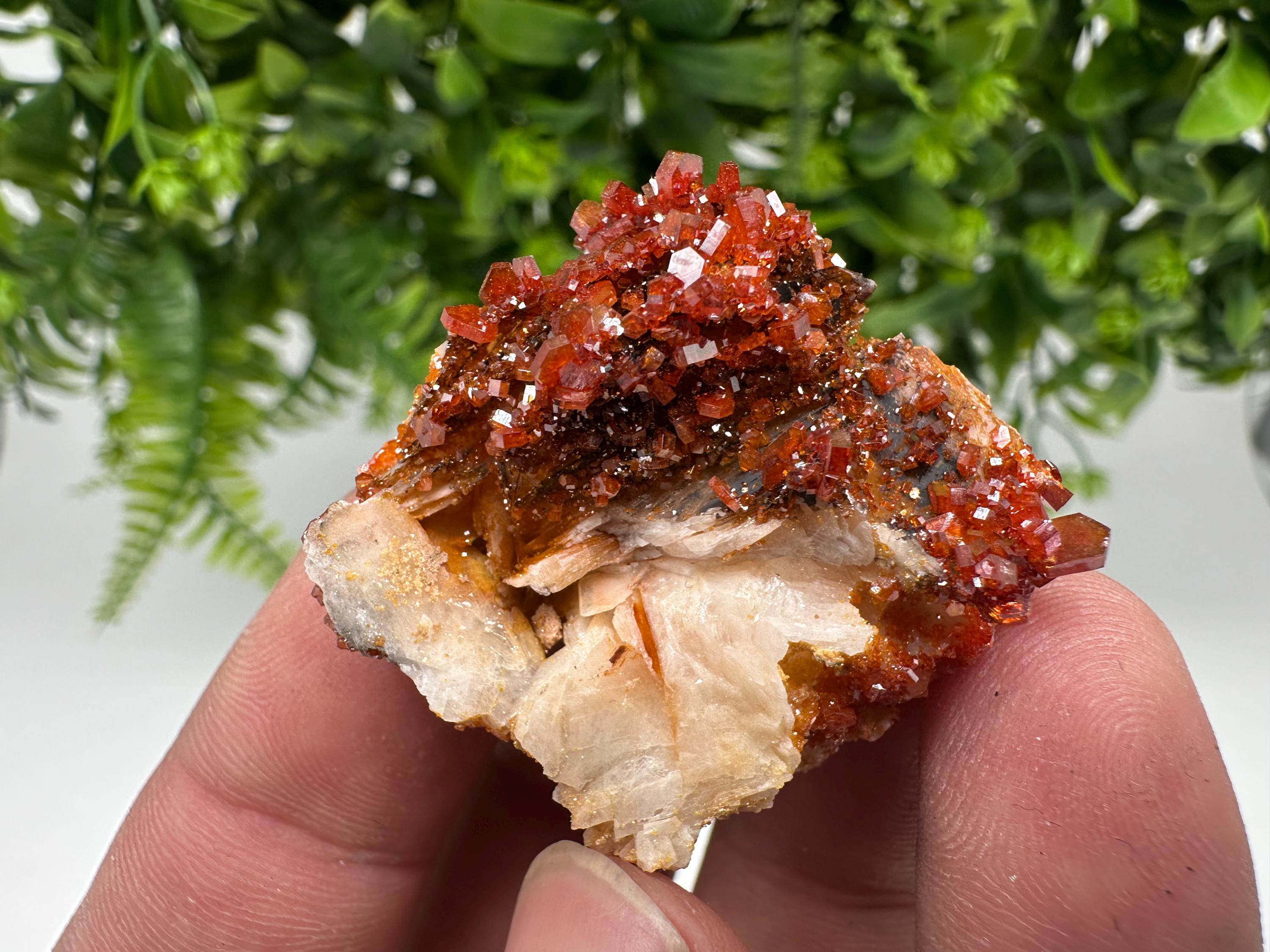 Red Vanadinite on Barite from Marocco,crystal minerals Speciment cluster Vanadinite crystal Vanadinite Geology Vanadinite cluster minerals