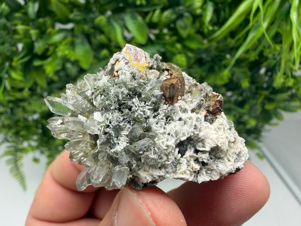 Pyrite Galena on Green Quartz, Chlorite Mineral Specimen, Bulgaria