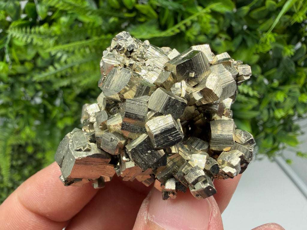 Rare Mini Pyrite Cluster: Golden Rainbow Crystallization from Borieva Mine