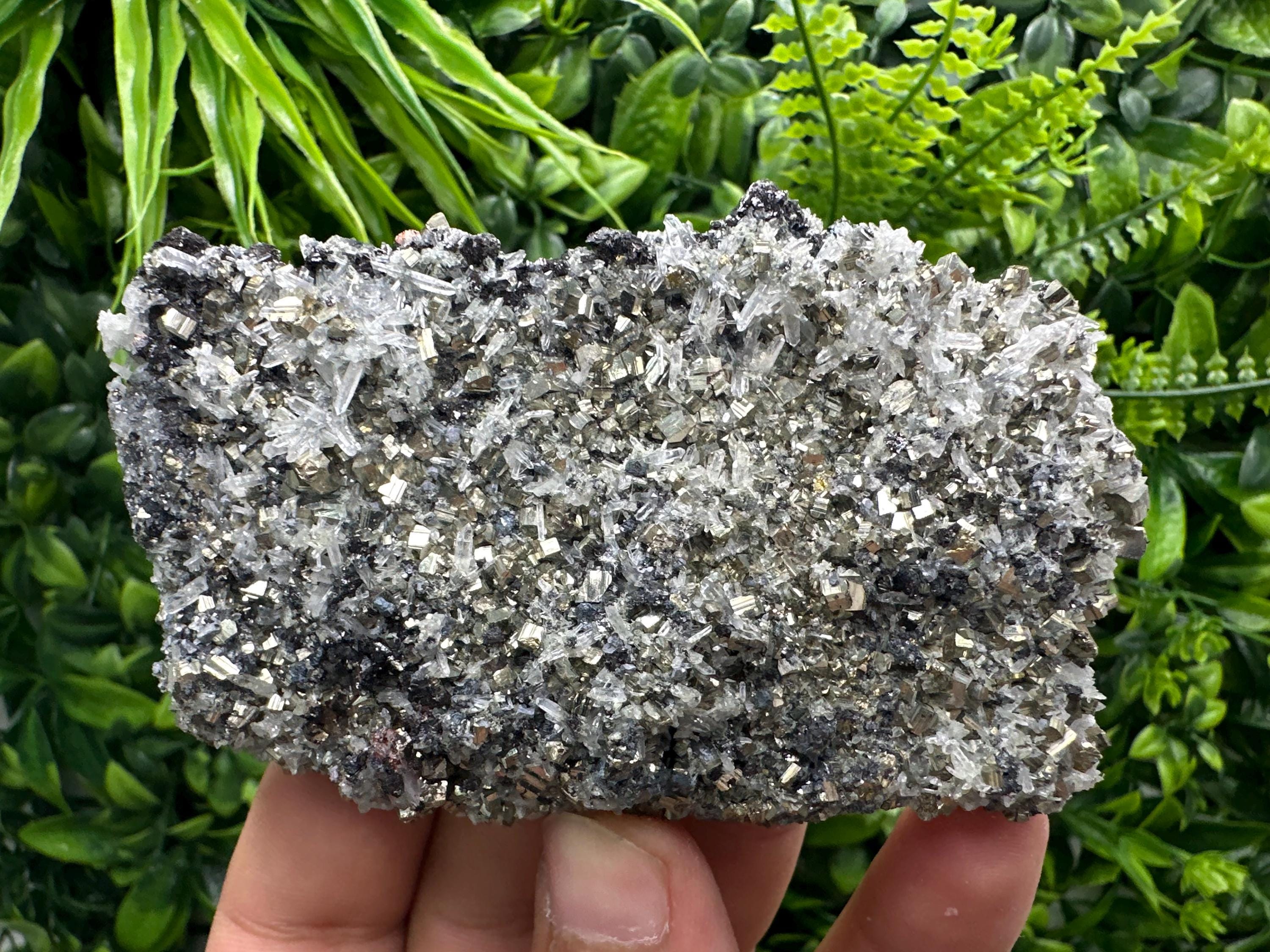 Galena Sphalerite Pyrite on Quartz, Borieva Mine, Bulgaria