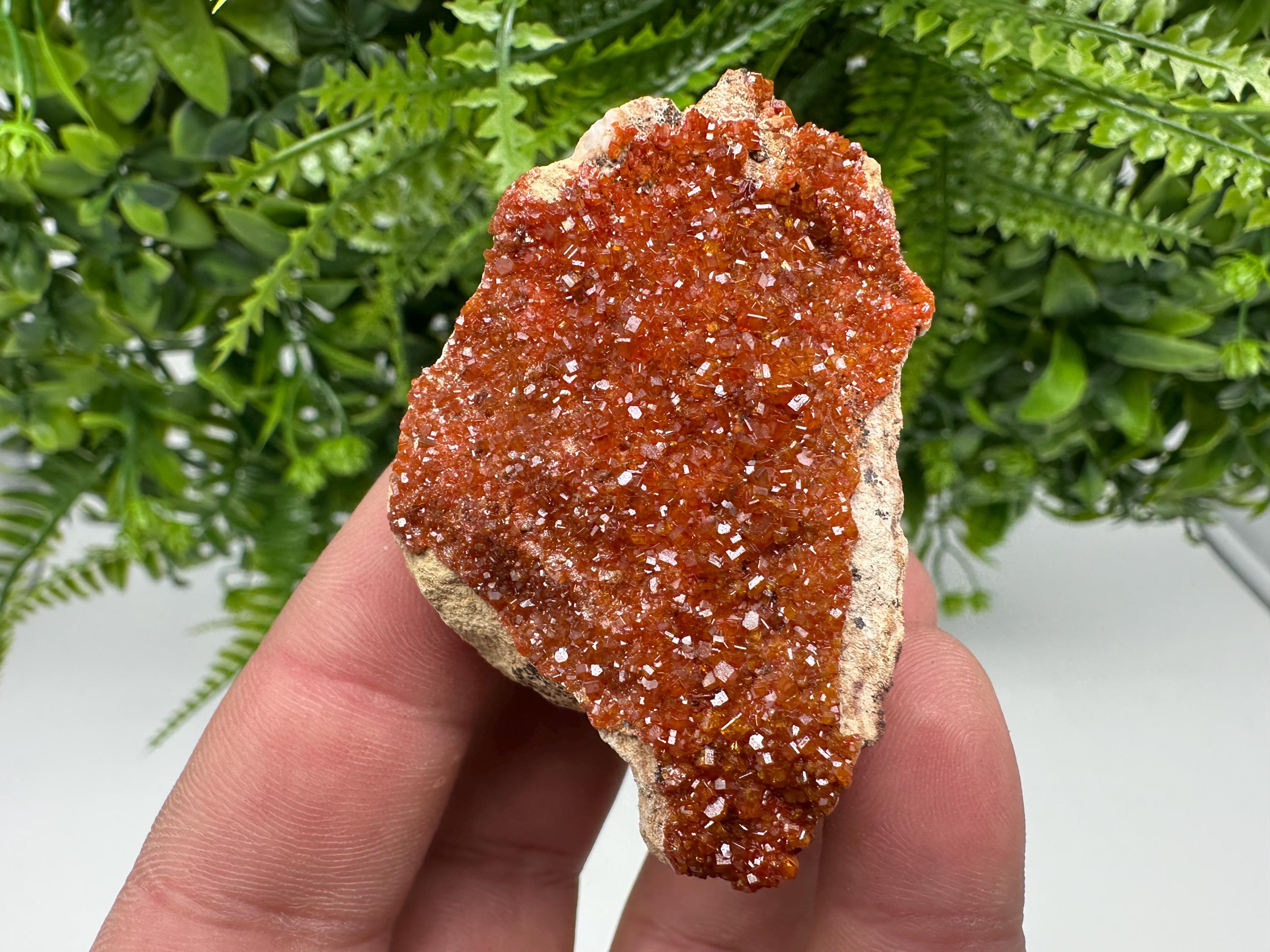 Red Vanadinite Crystal on Barite, Morocco Mineral Specimen