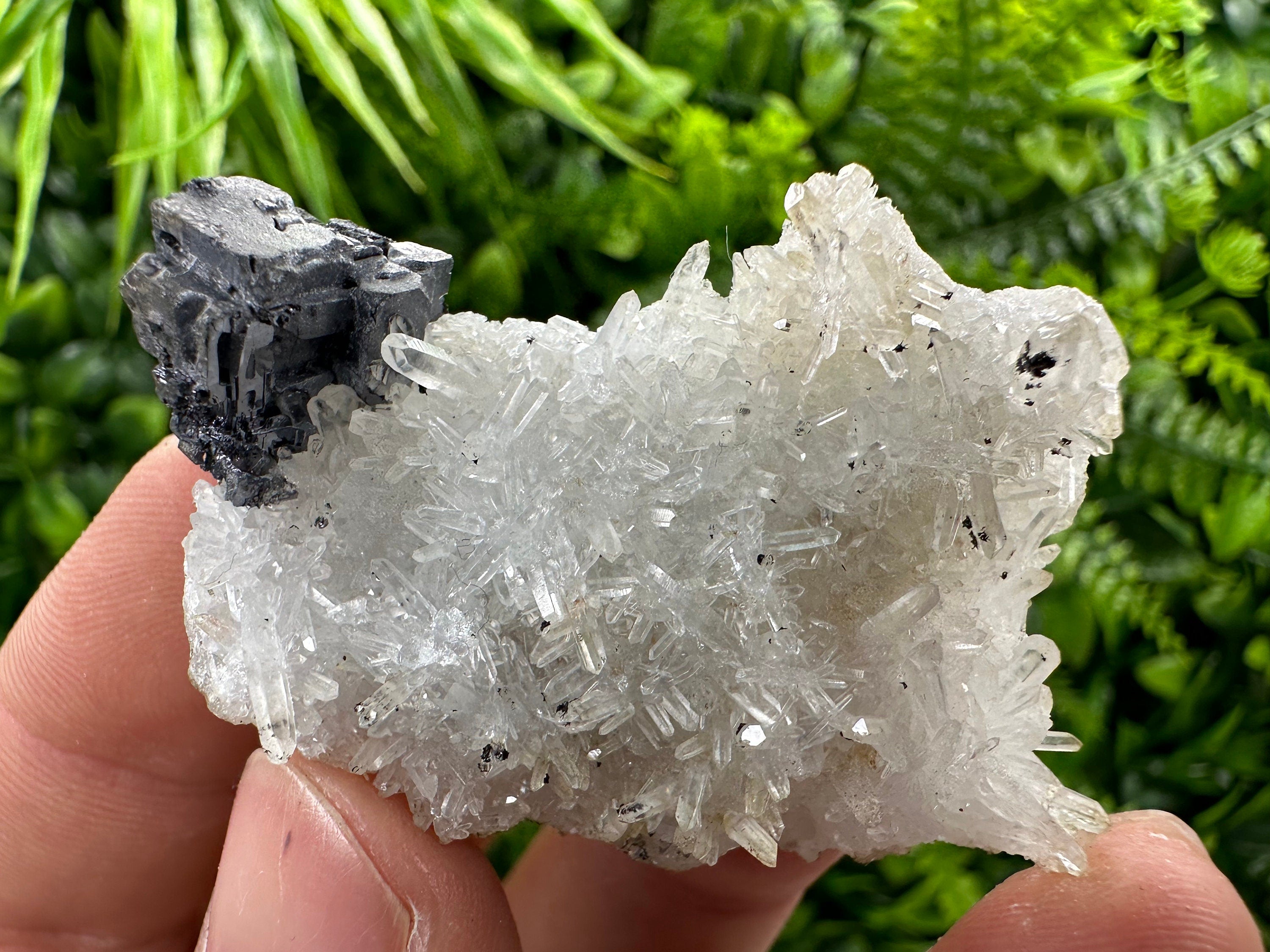 Galena on Quartz, Natural Crystal Mineral Specimen