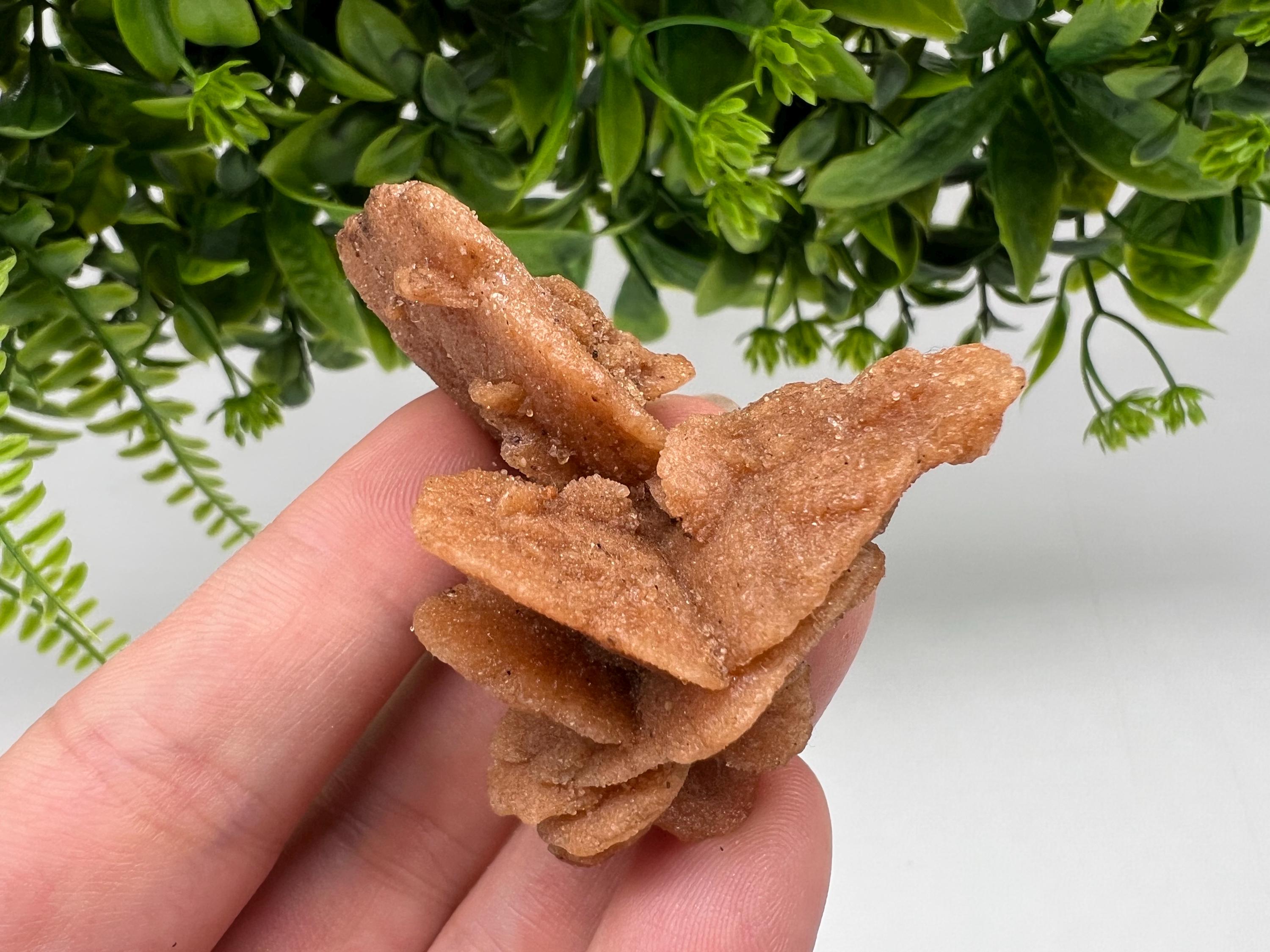 Desert Rose Crystal: Root Chakra Healing Selenite Stone