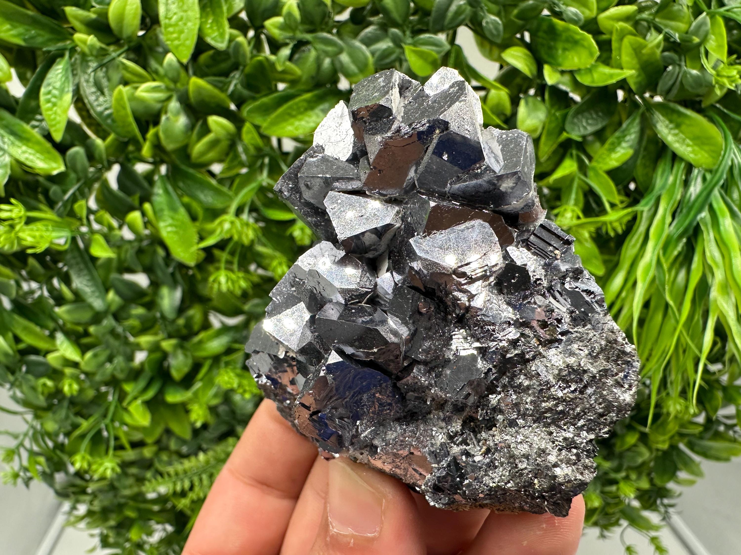 Rare Galena Cubes, Extra Mirror, Marzyan Mine, Bulgaria