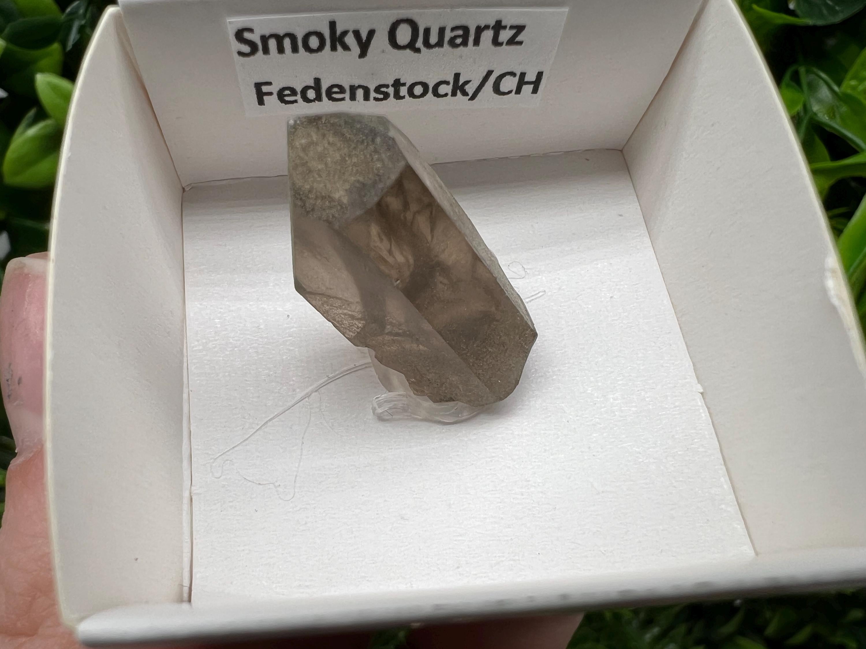 Rare Fedenstock Smoky Quartz Point, Switzerland Mineral Specimen (25MM)