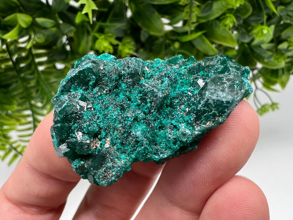 Stunning Green Dioptase from Sanda Hills,Mindouli,Pool Department,Mindouli District,Congo,green Dioptase,Dioptas Crystal,Dioptase collecting