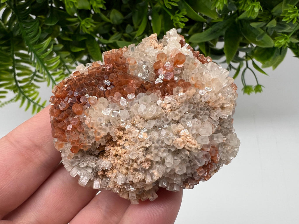 Extra Large Aragonite Sputnik Cluster: Moroccan Raw Crystal Stone