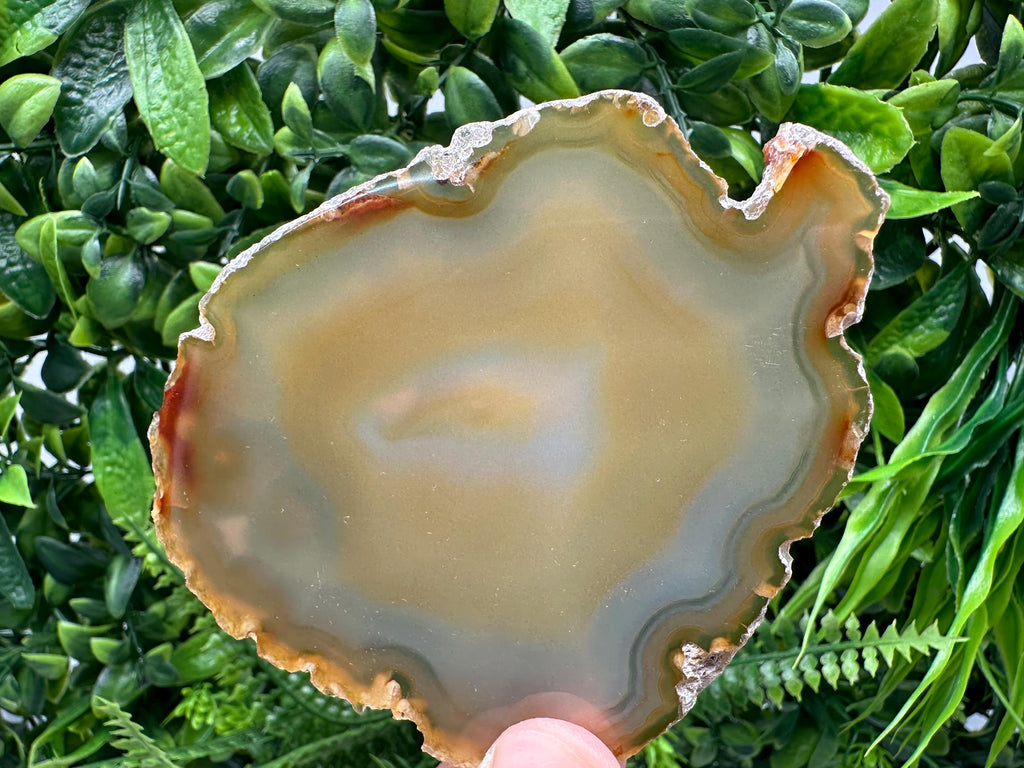 Polished Agate Slice: Spiritual Healing Crystal Coaster (10/9cm)