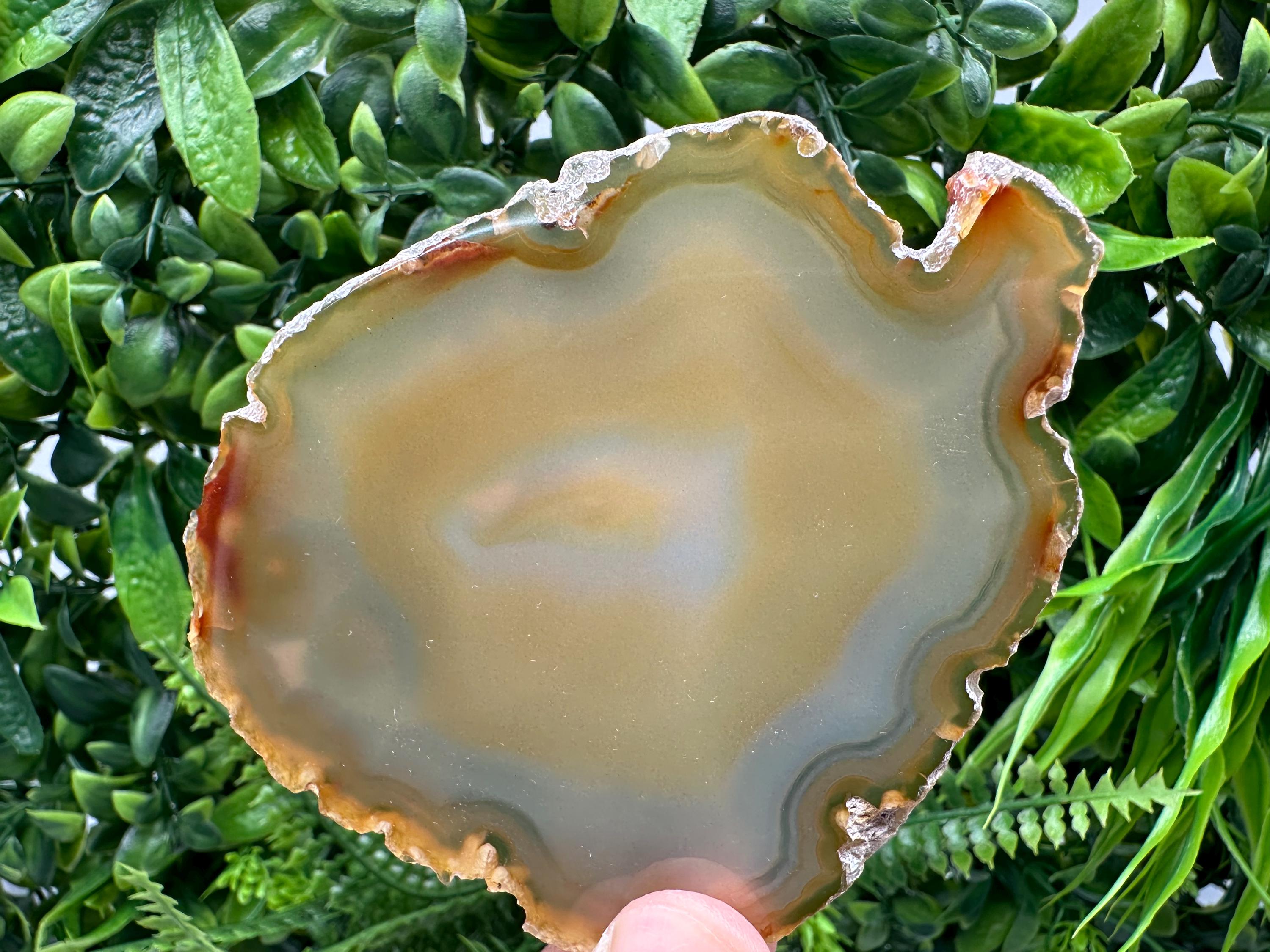 Polished Agate Slice: Spiritual Healing Crystal Coaster (10/9cm)