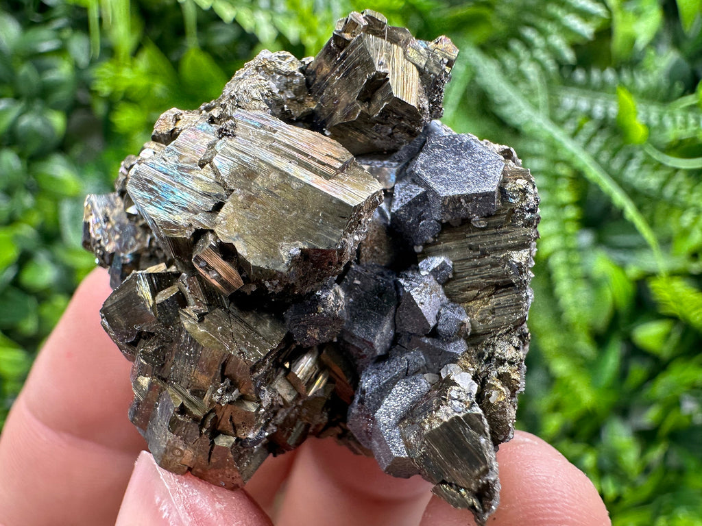 Pyrite with Hematite Specimen, Madan Bulgaria Mineral Gift