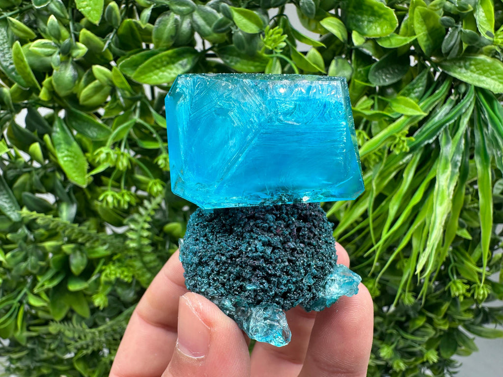 Exceptional Turquoise ALUNITE Aqua Crystal on Matrix UV Active, lab minerals