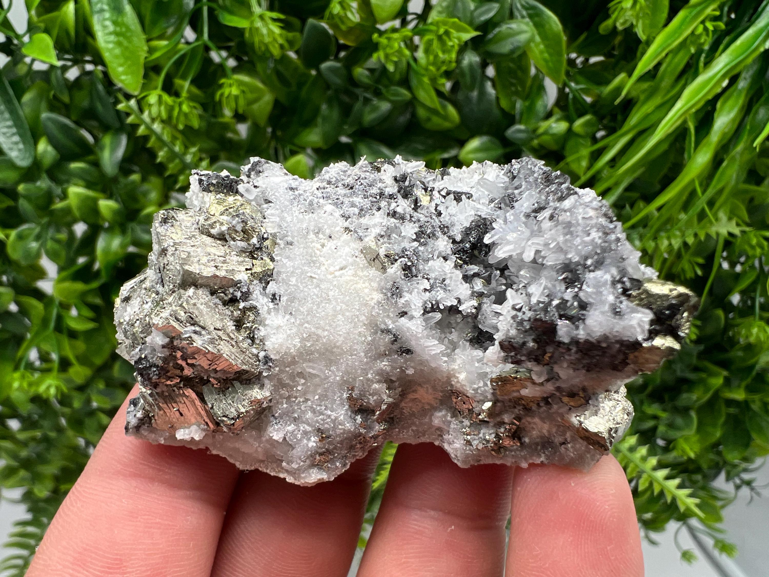 Pyrite on Quartz whit Sphalerite from Krushev dol mine,Madan,Bulgaria,natural,collectible mineral specimen,home decor stone,ear minerals,gif