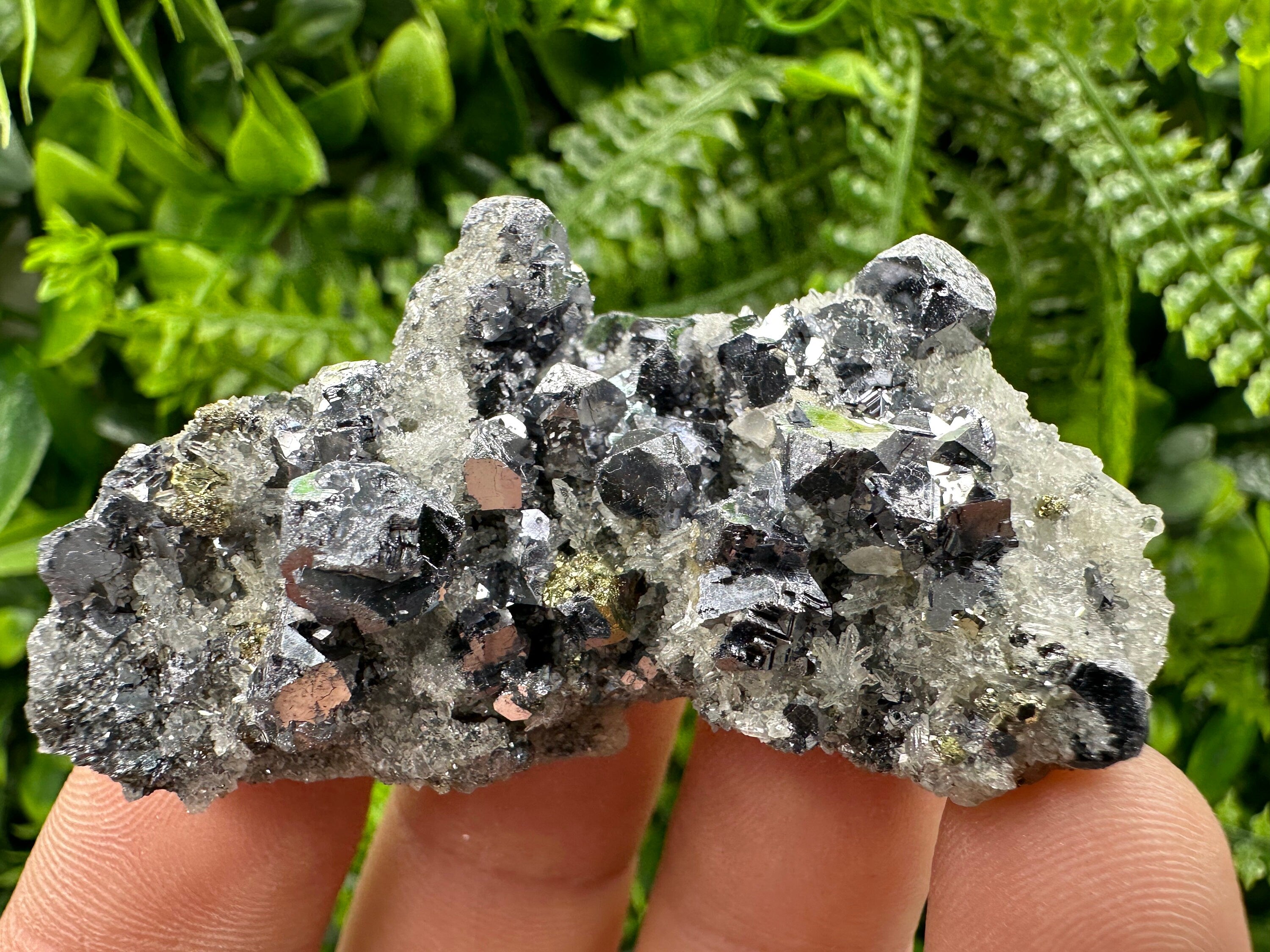 Galena Chalcopyrite on Quartz: Crystal Home Decor, Borieva Mine