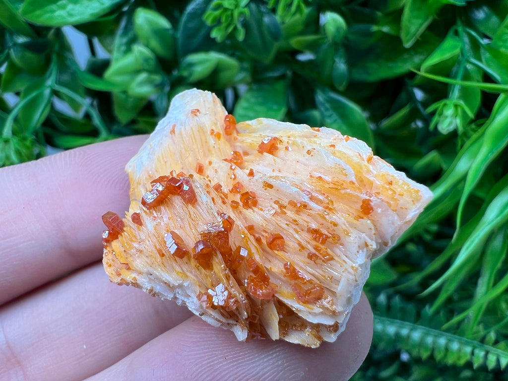 Red Vanadinite on Barite from Marocco,crystal minerals Speciment cluster Vanadinite crystal Vanadinite Geology Vanadinite cluster minerals