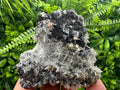 Sphalerite Galena Pyrite on Quartz, Borieva Mine Mineral Specimen